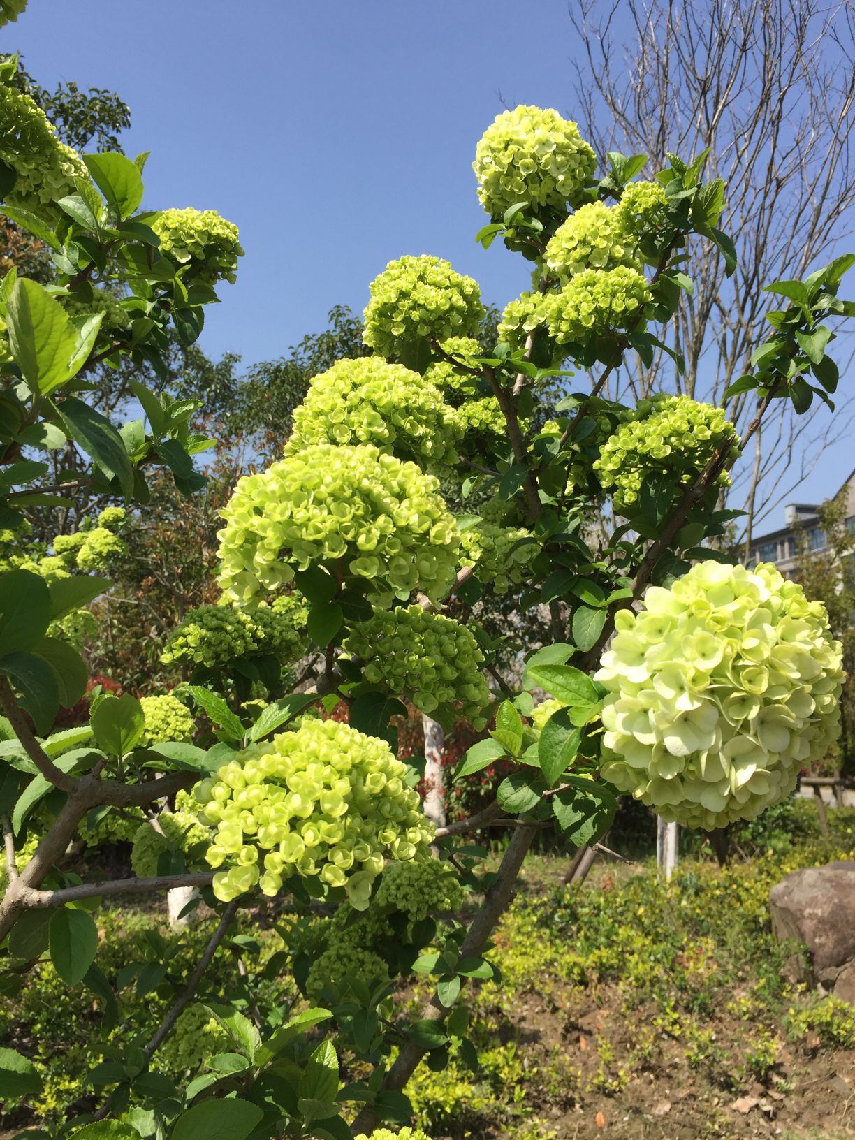 赞山良渚文化公园旅行图片 3