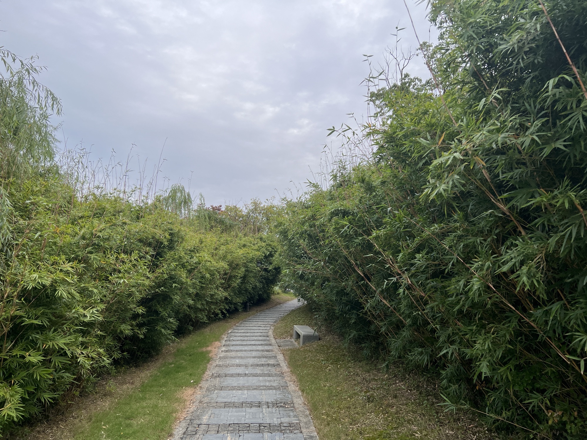赞山良渚文化公园旅行图片 2