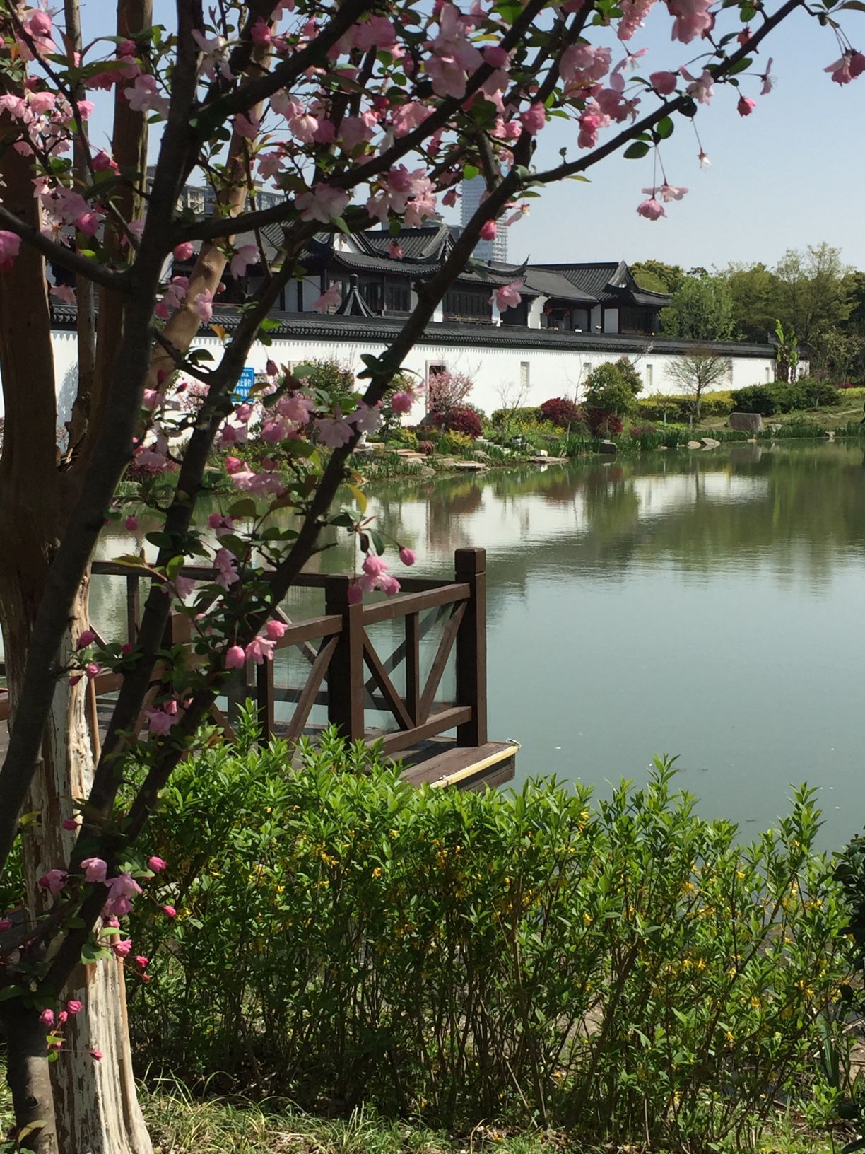 赞山良渚文化公园旅行图片 2
