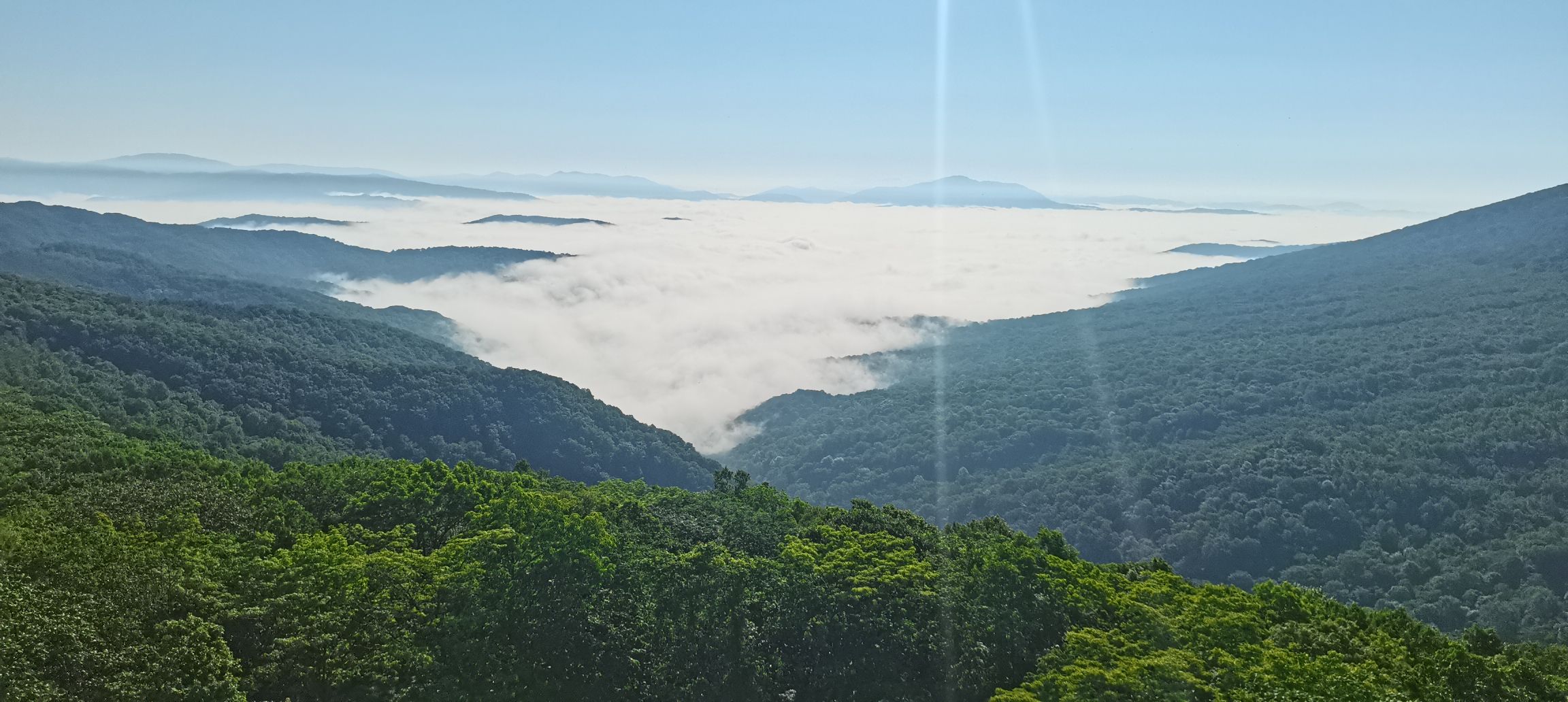 岭上枫林景区