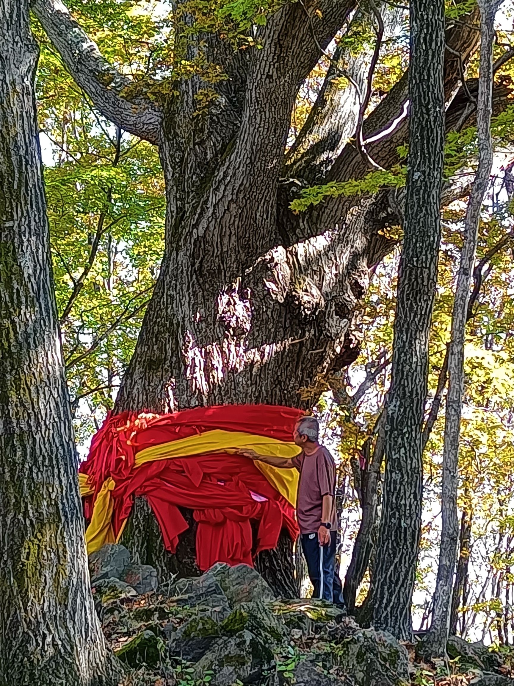 岭上枫林景区旅行图片 1