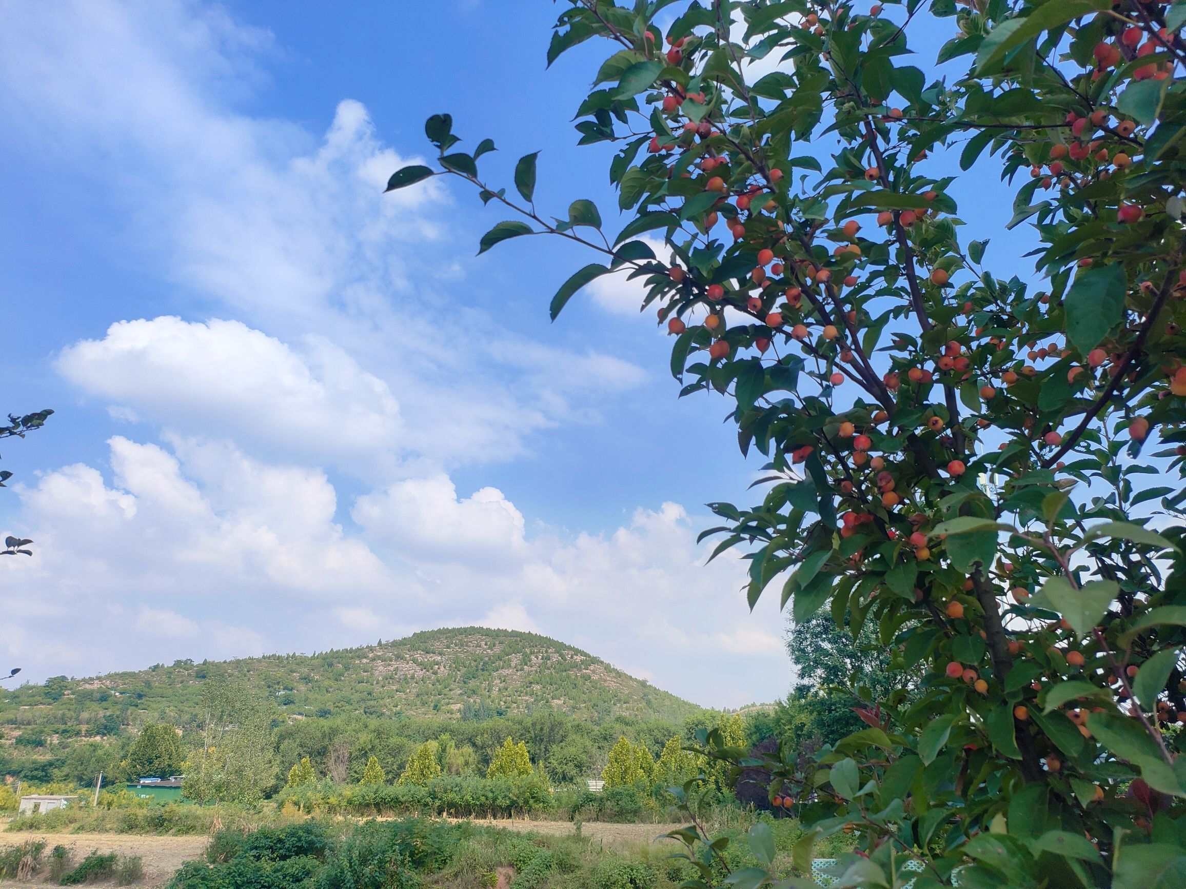 原乡左岸旅行图片 1
