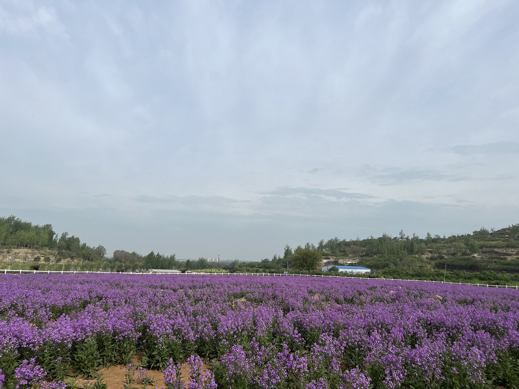 原乡左岸旅行图片 2