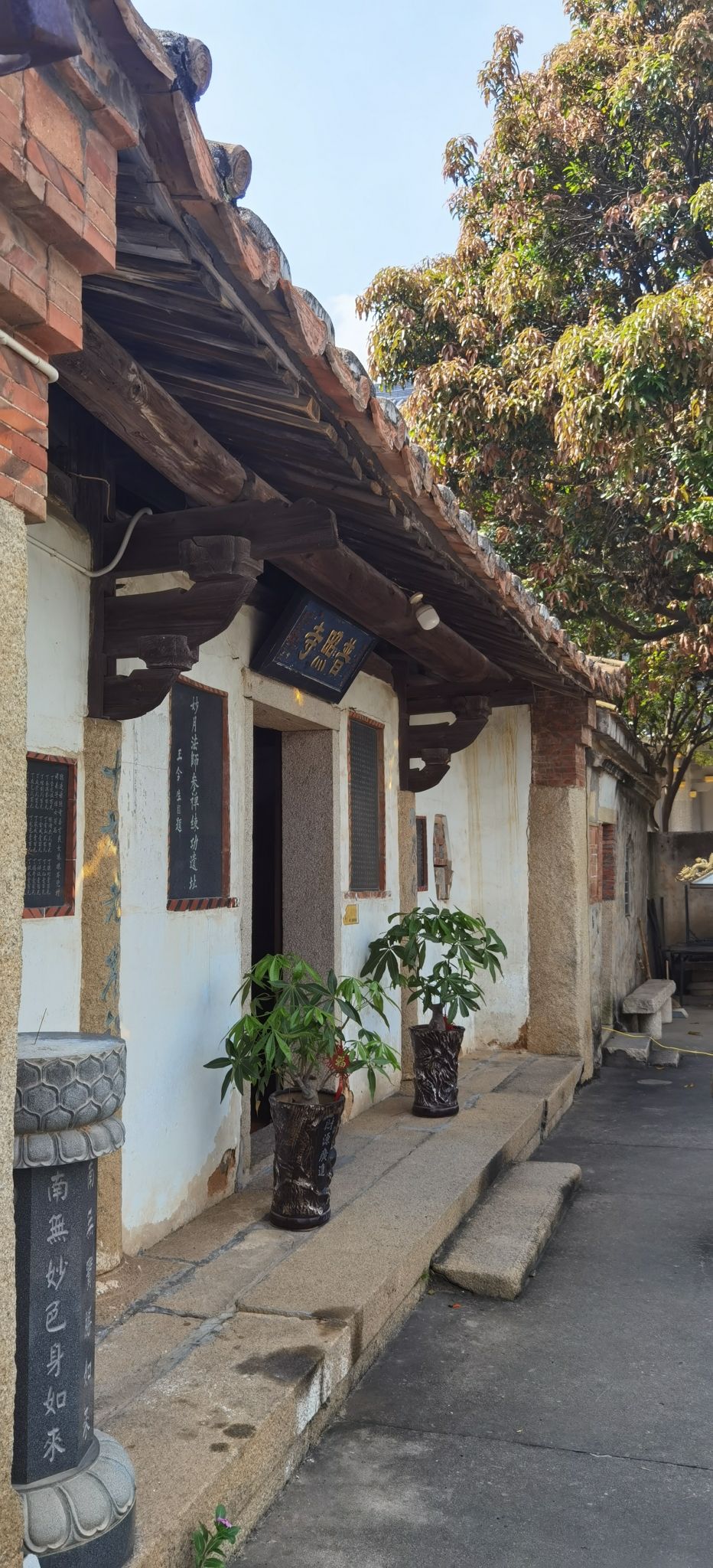 普照寺旅行图片 3