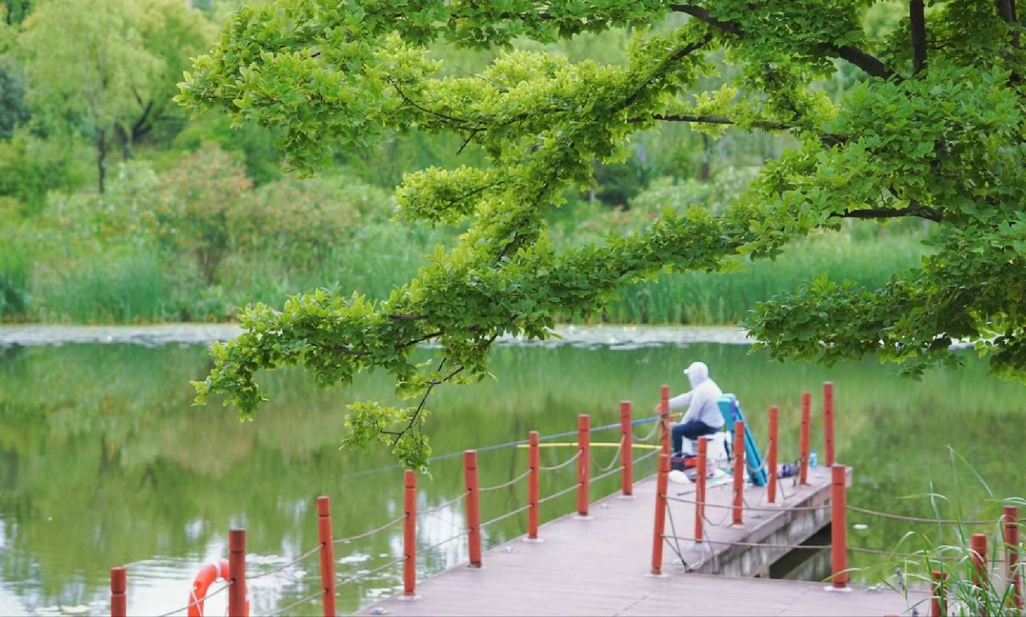 能达生态通廊旅行图片 3