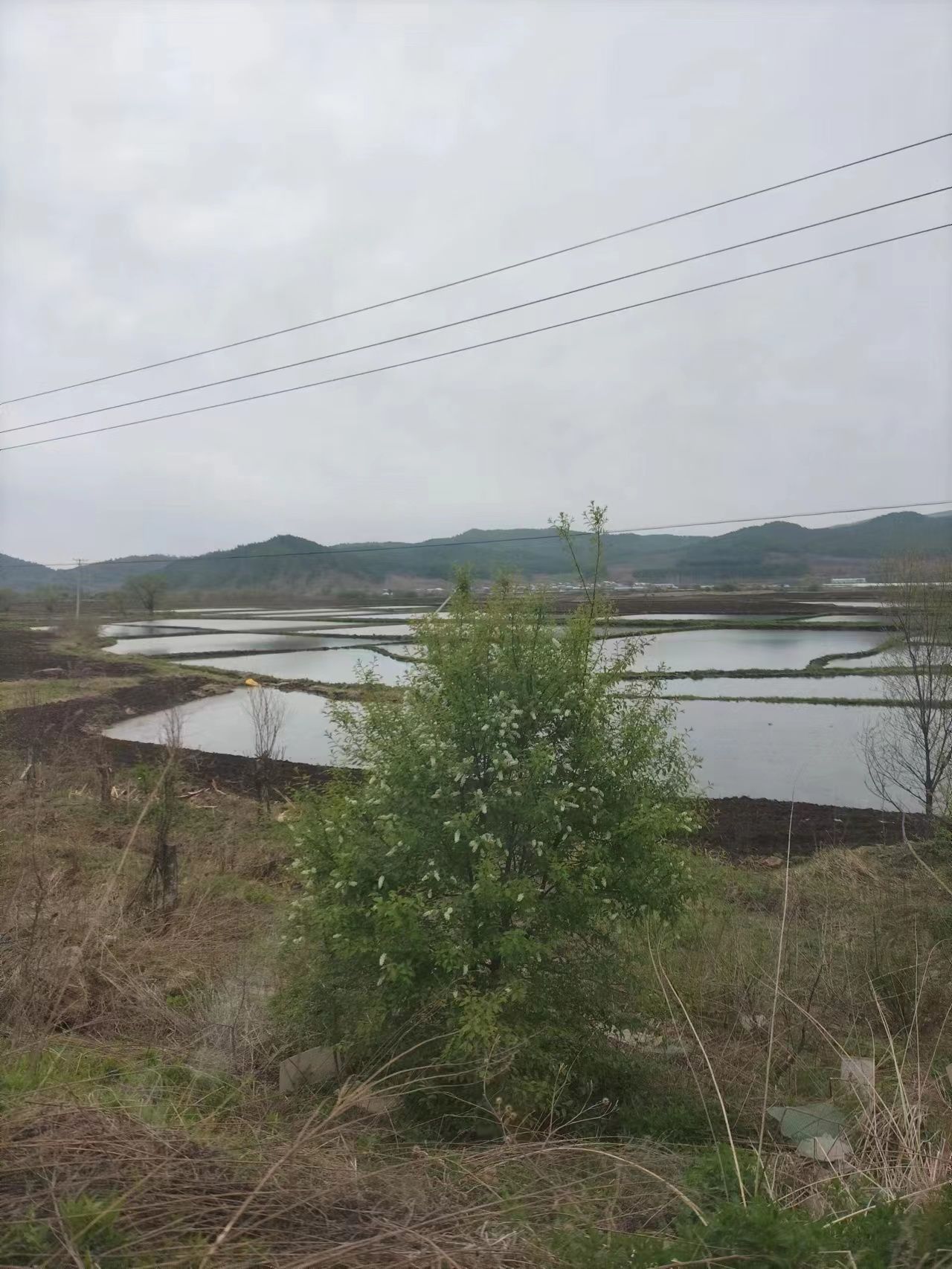 笔架山旅行图片 3