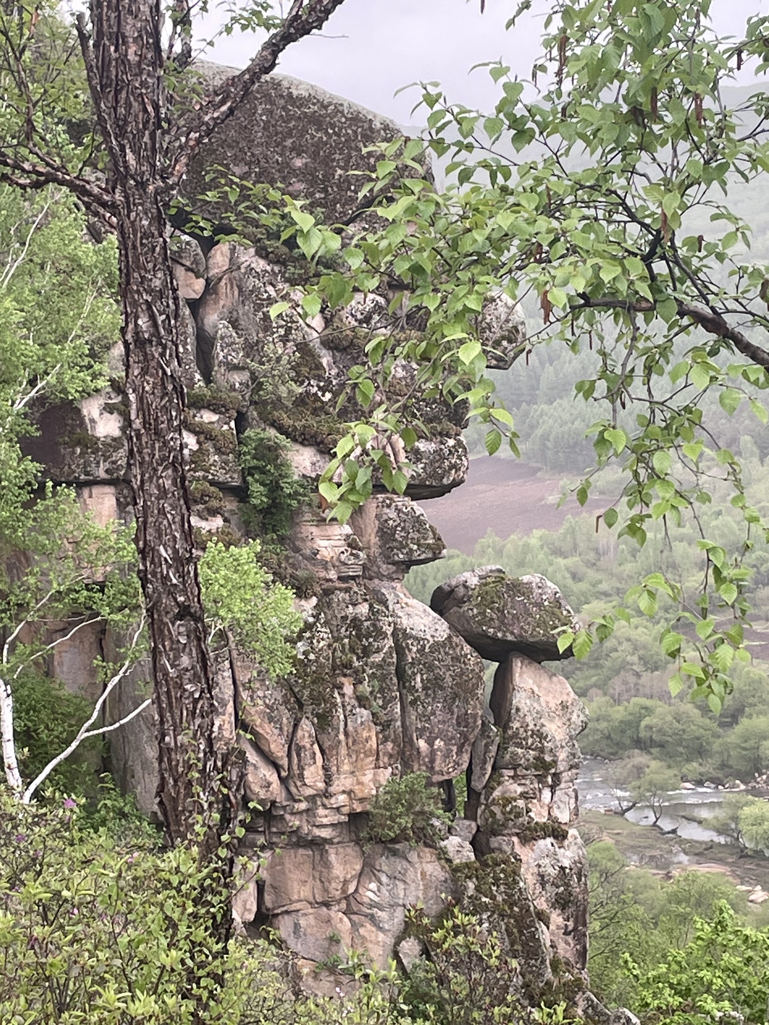 笔架山旅行图片 2
