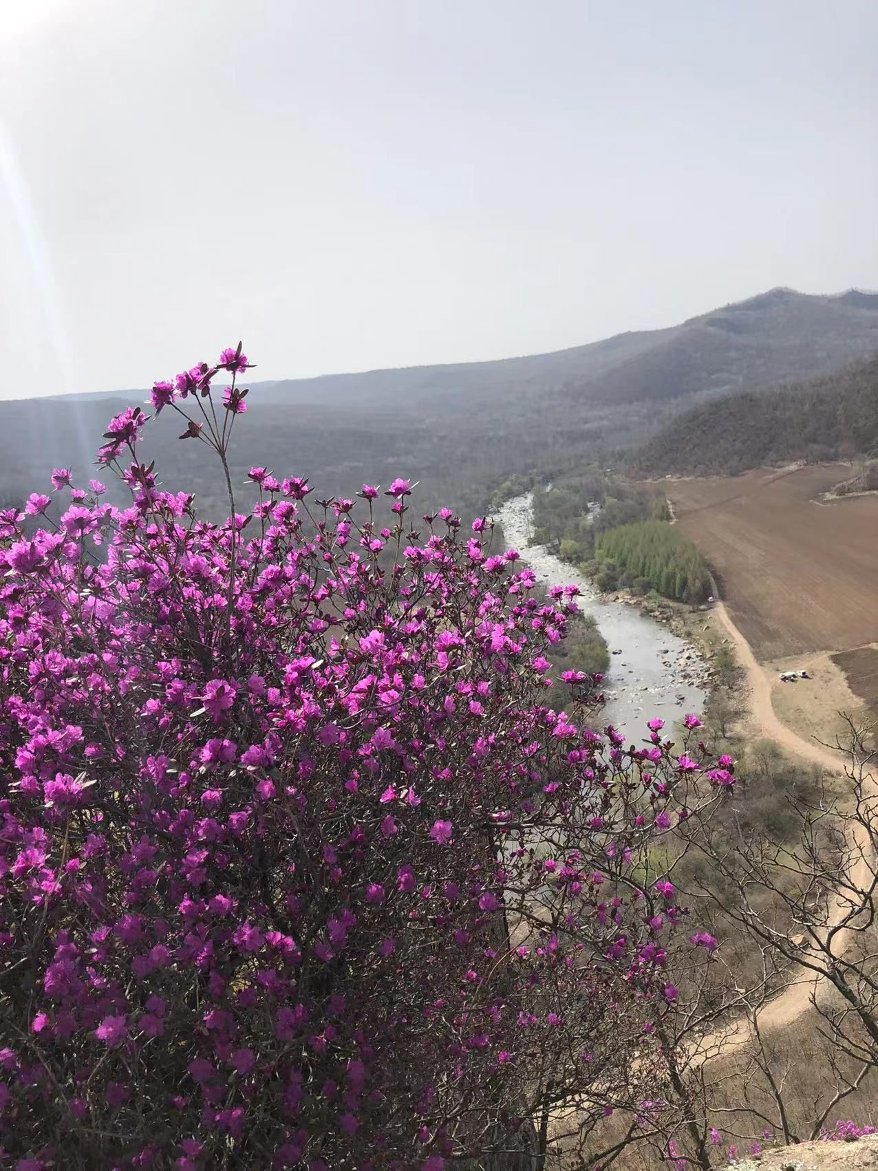 笔架山旅行图片 2