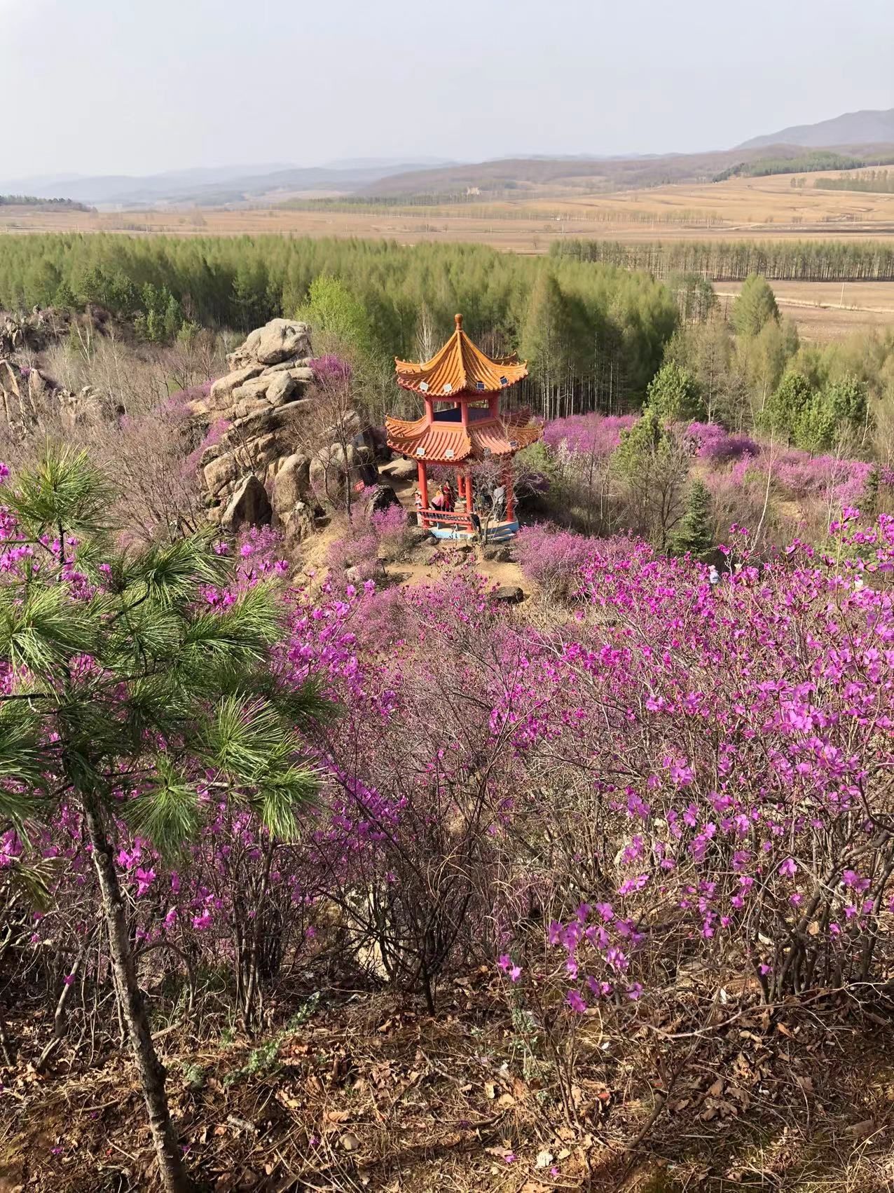 笔架山旅行图片 3