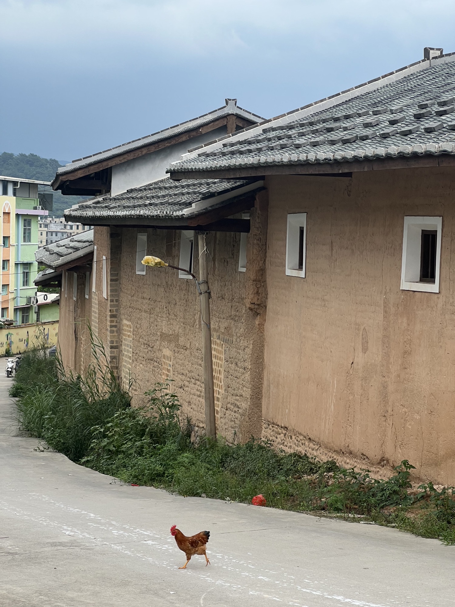 庄上土楼旅行图片 3