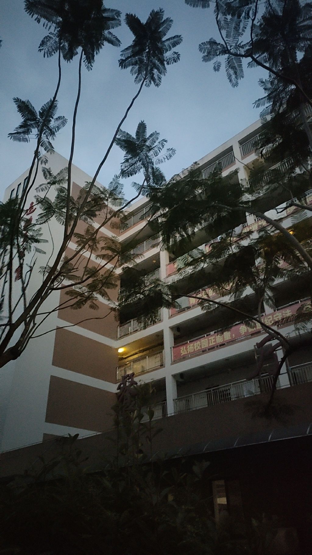 三明市少年儿童体育运动学院