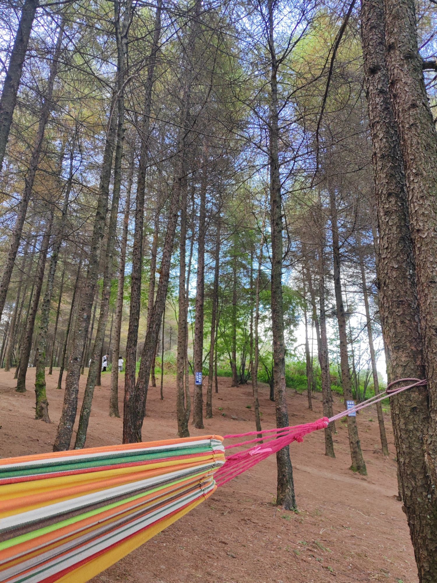 人头寨风景区旅行图片 1