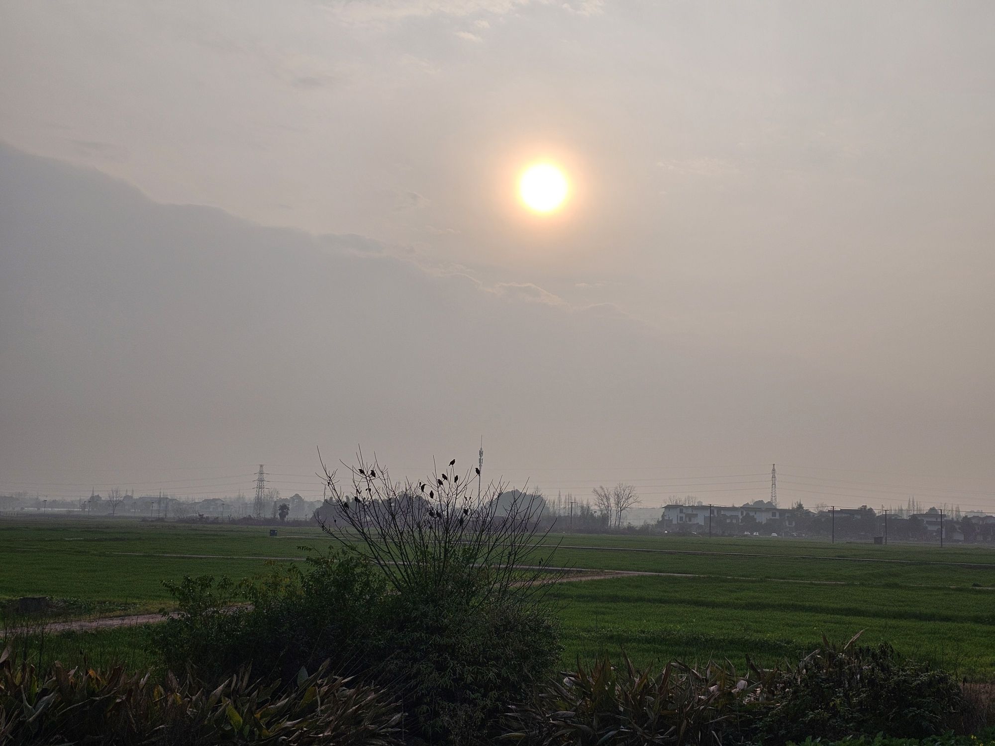 湿地公园人工瀑布旅行图片 1