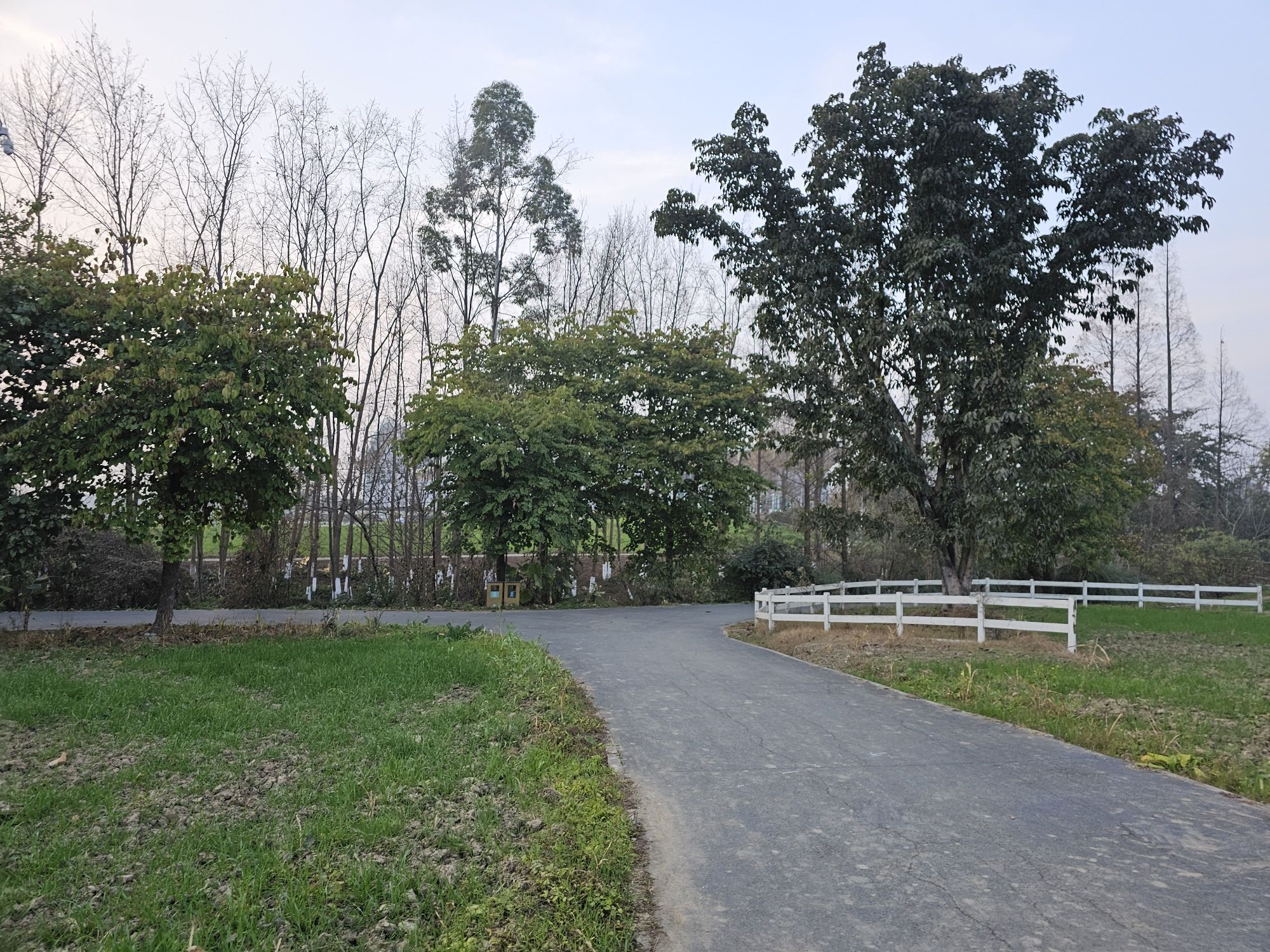 湿地公园人工瀑布旅行图片 3