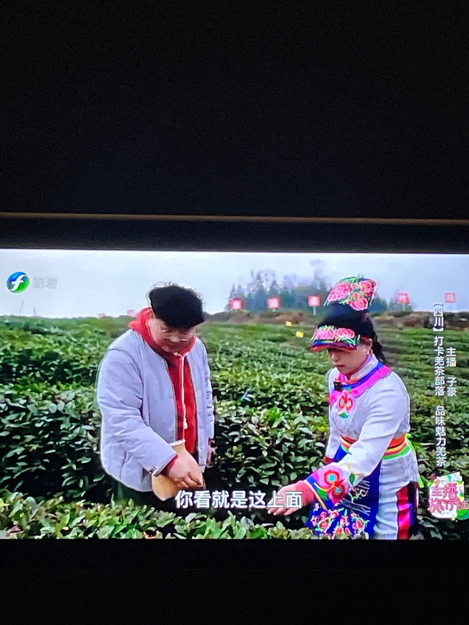 西羌神木寨旅行图片 1