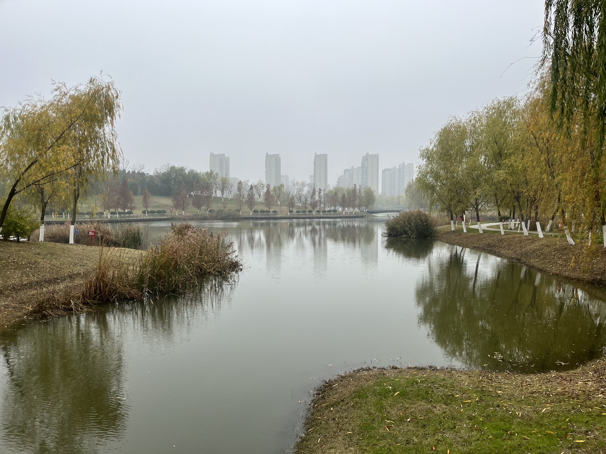 德园旅行图片 3