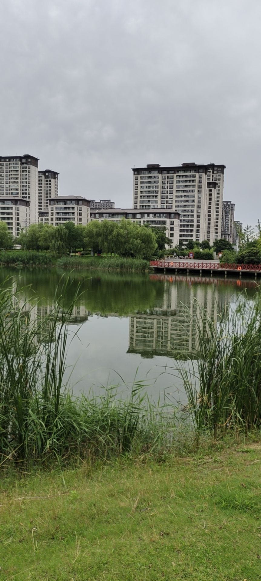德园旅行图片 2