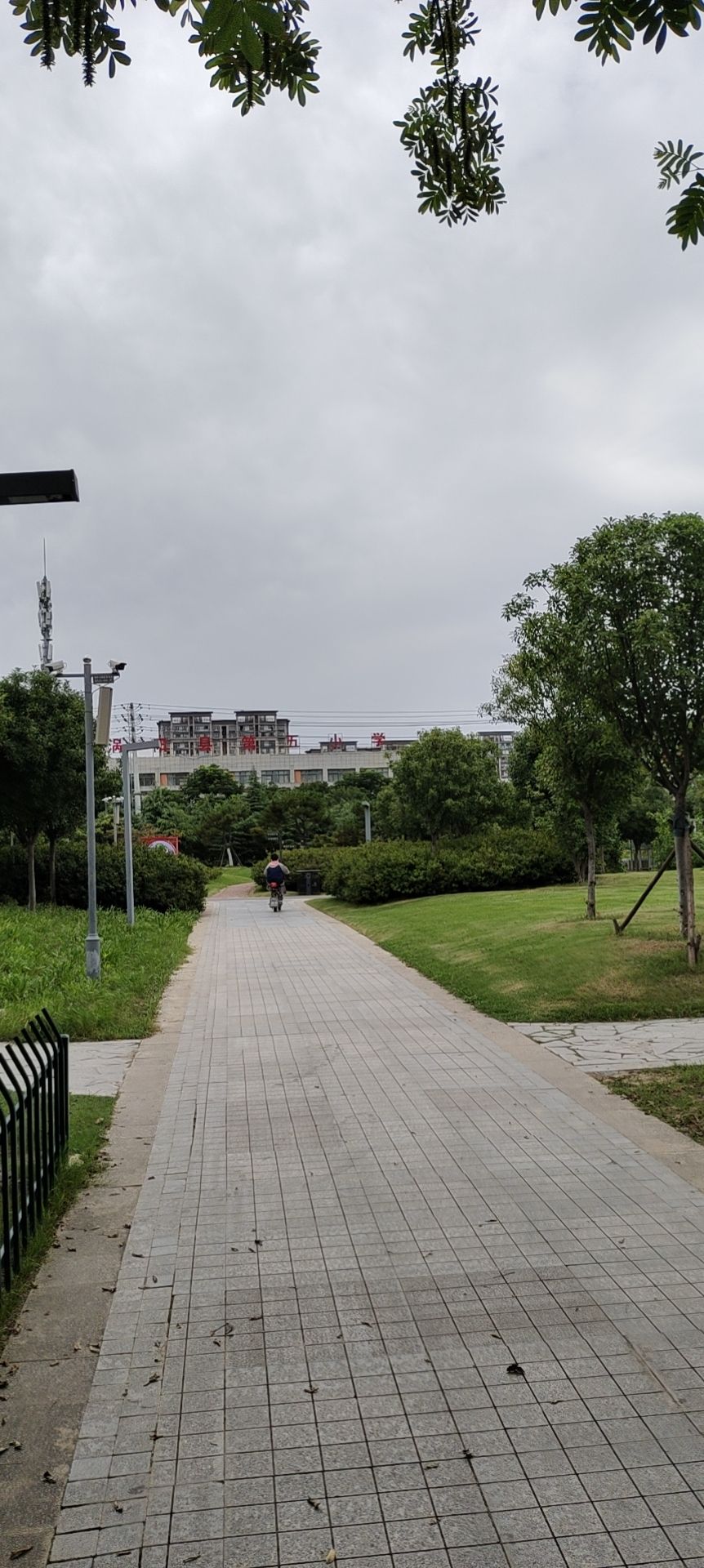 德园旅行图片 3