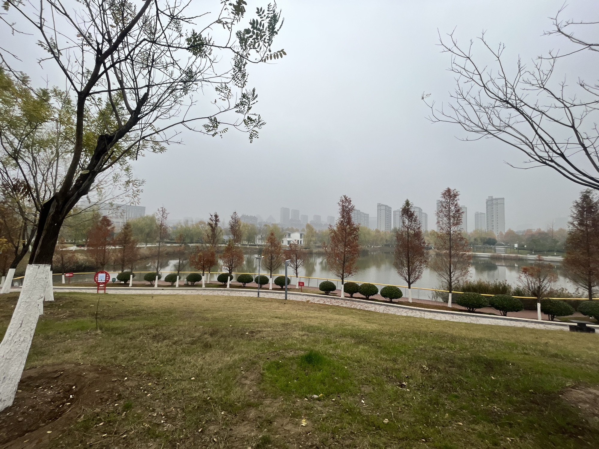 德园旅行图片 2