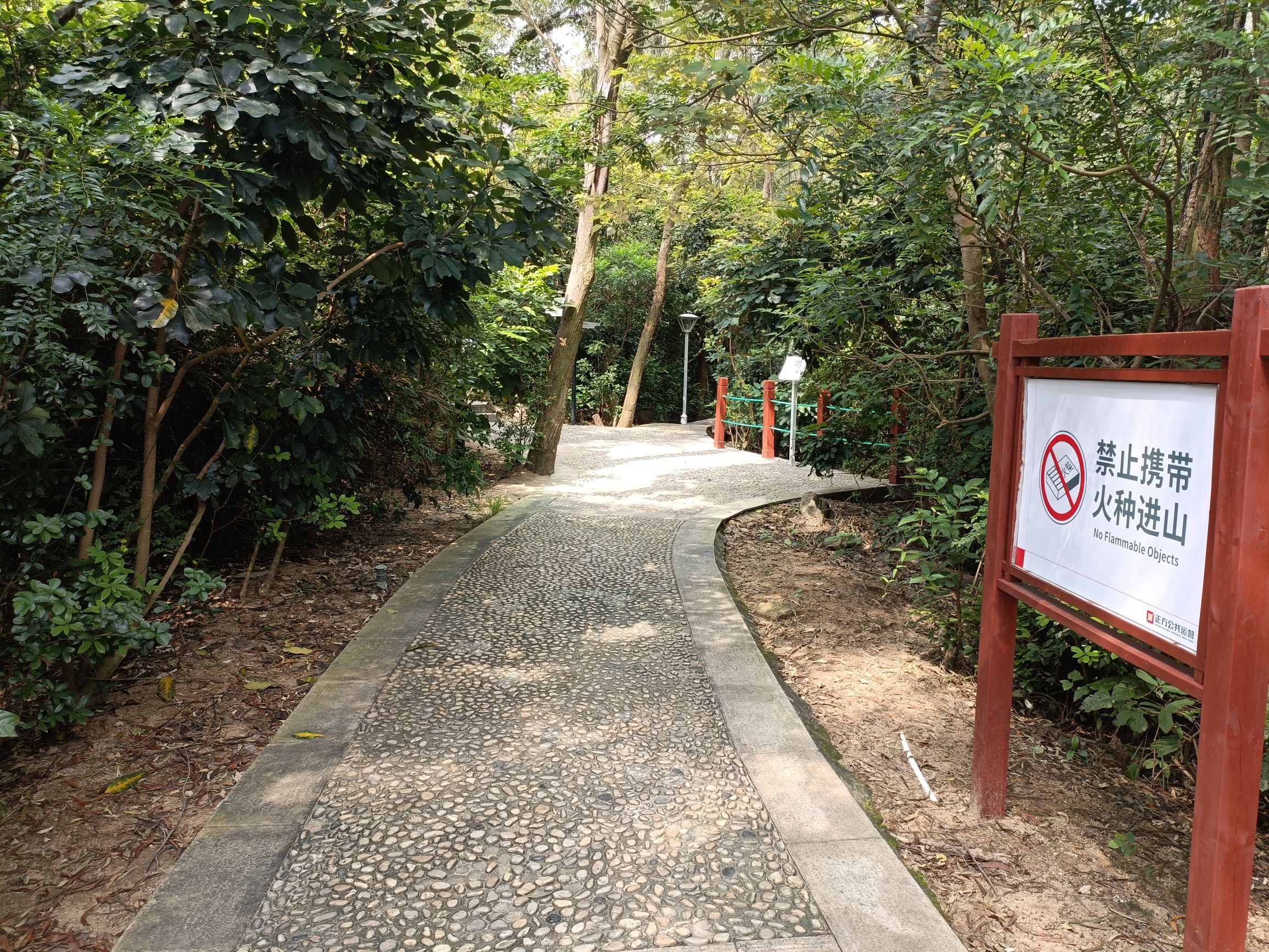 洲仔社区公园旅行图片 2
