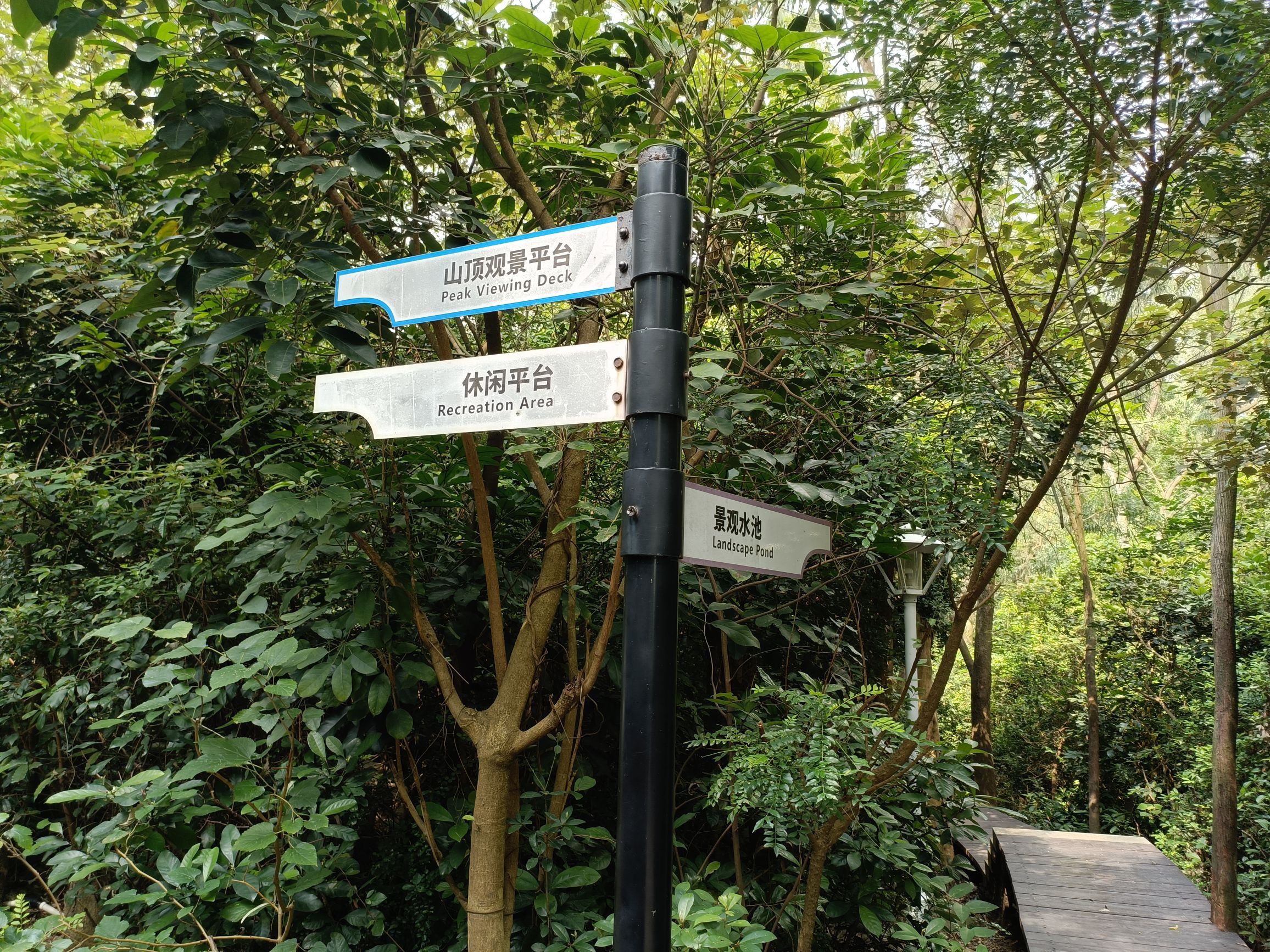 洲仔社区公园旅行图片 3