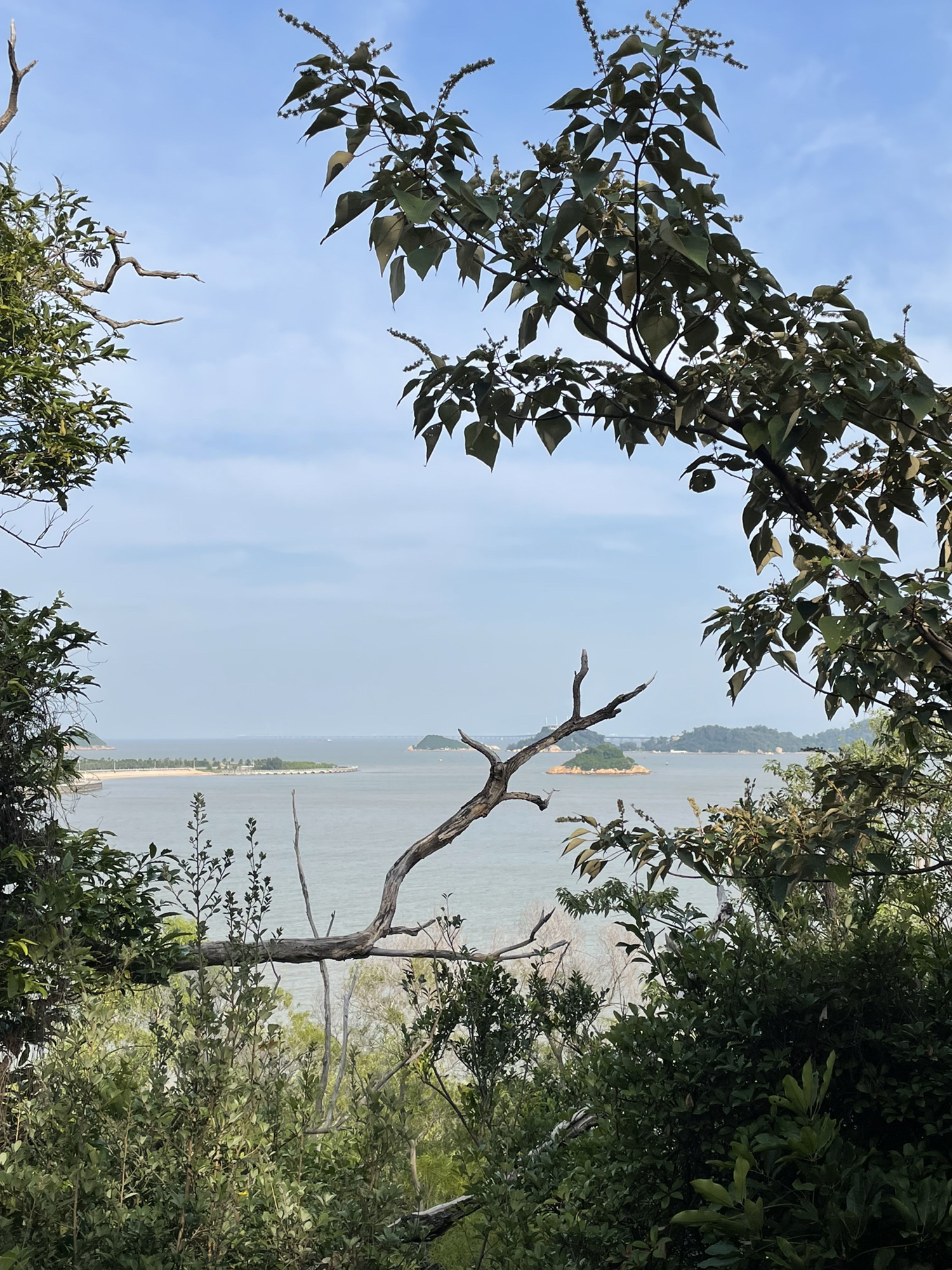 洲仔社区公园旅行图片 3