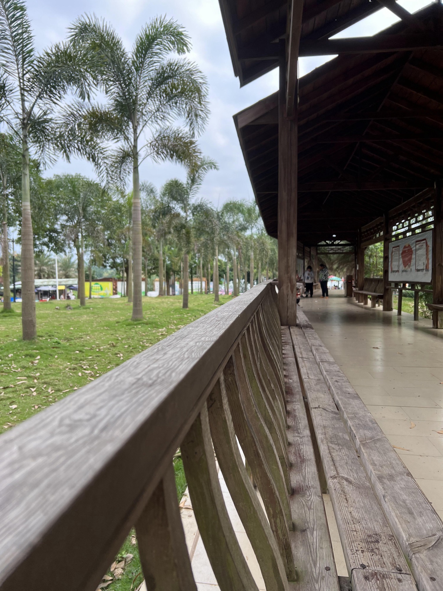 西津国家湿地公园旅行图片 1