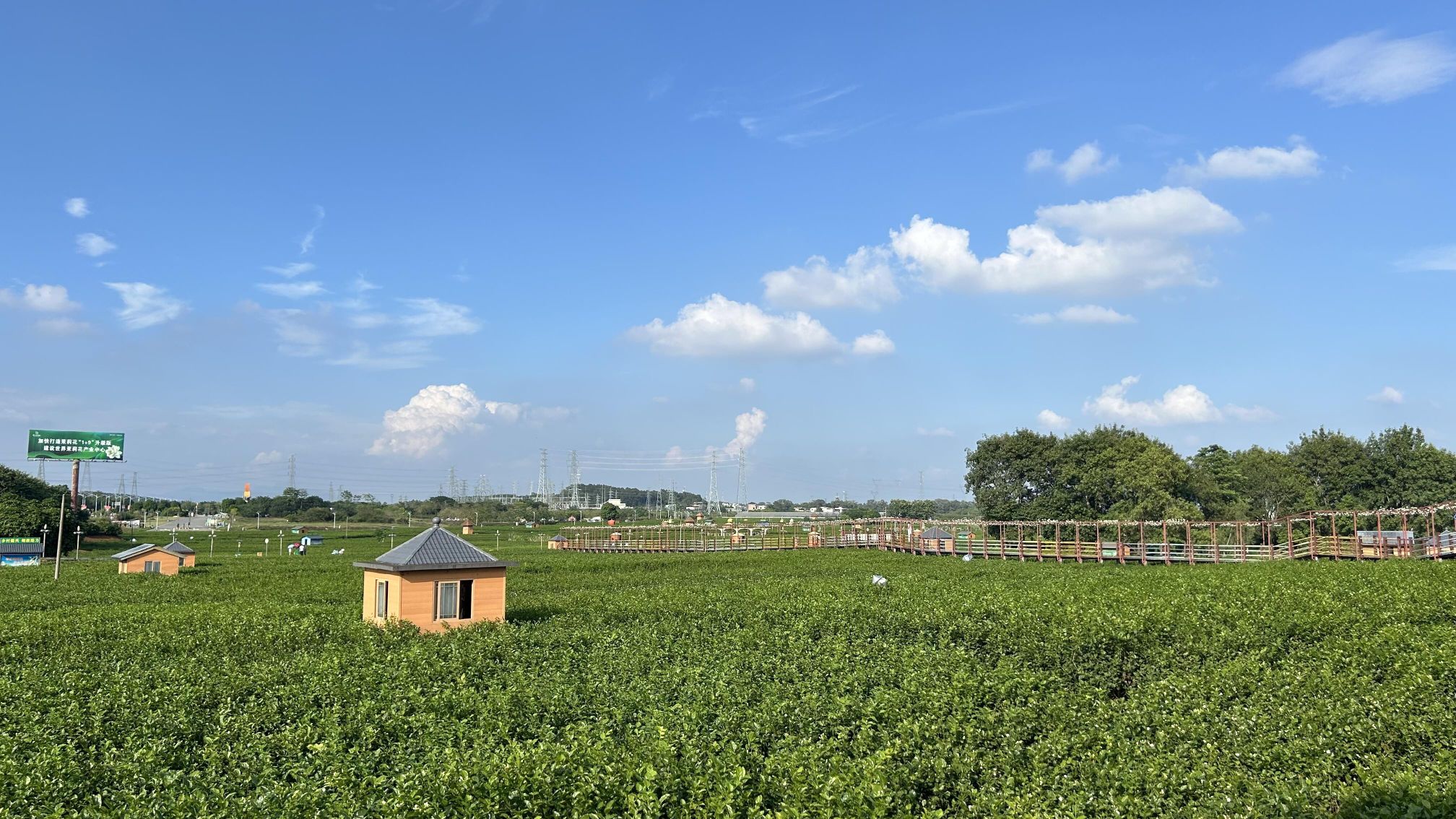 西津国家湿地公园旅行图片 2