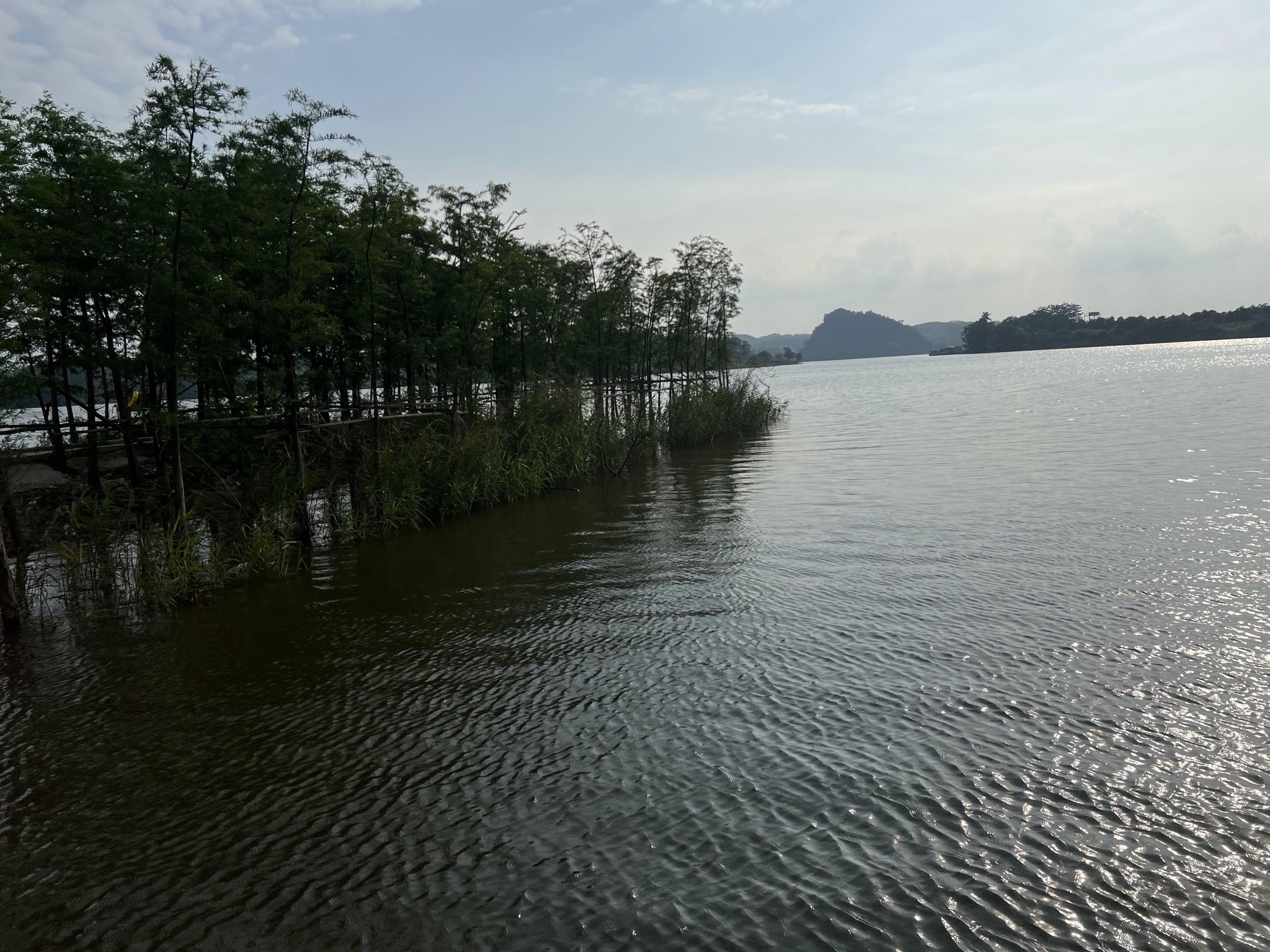 西津国家湿地公园旅行图片 2