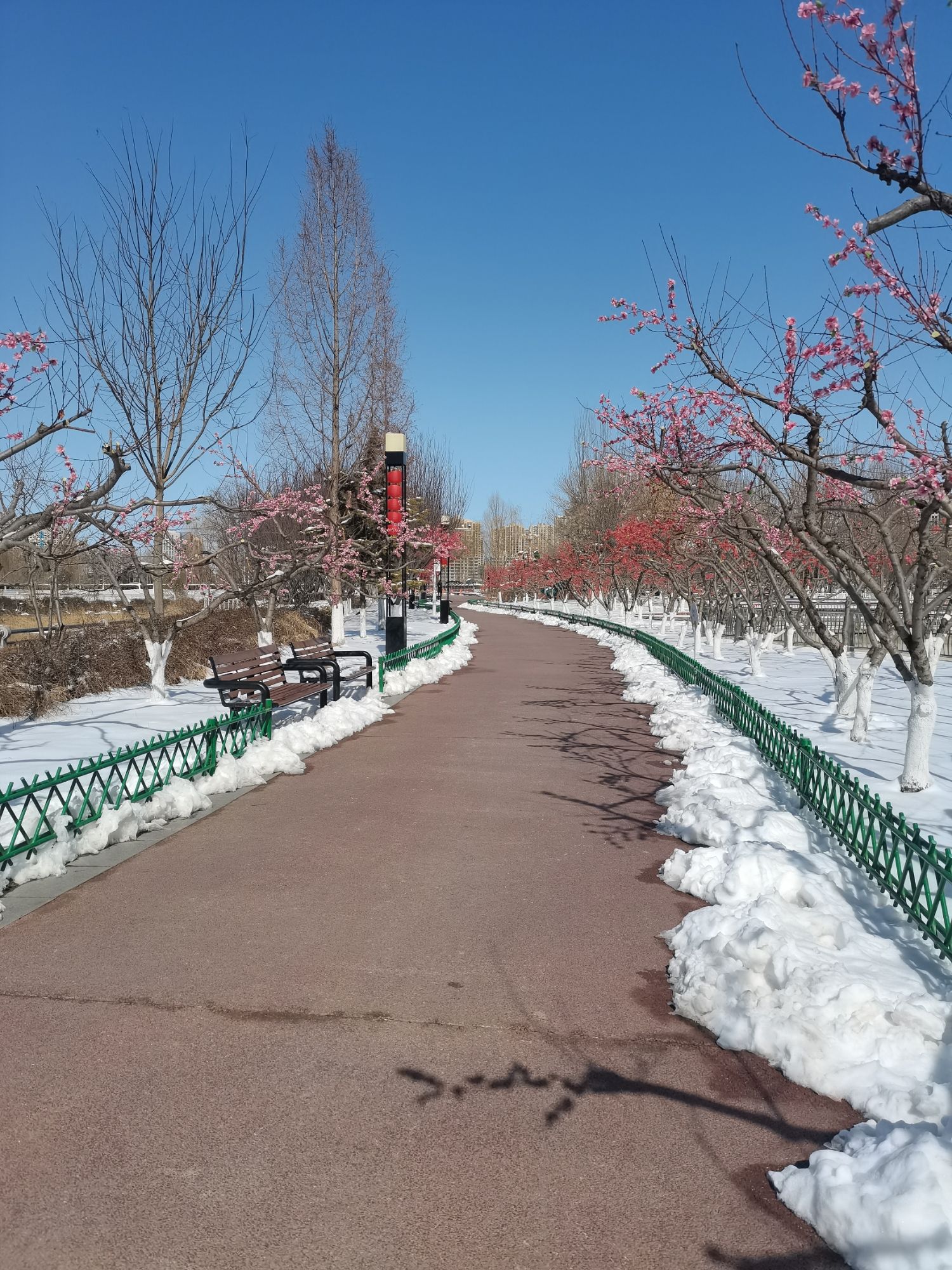 保定东湖公园旅行图片 3