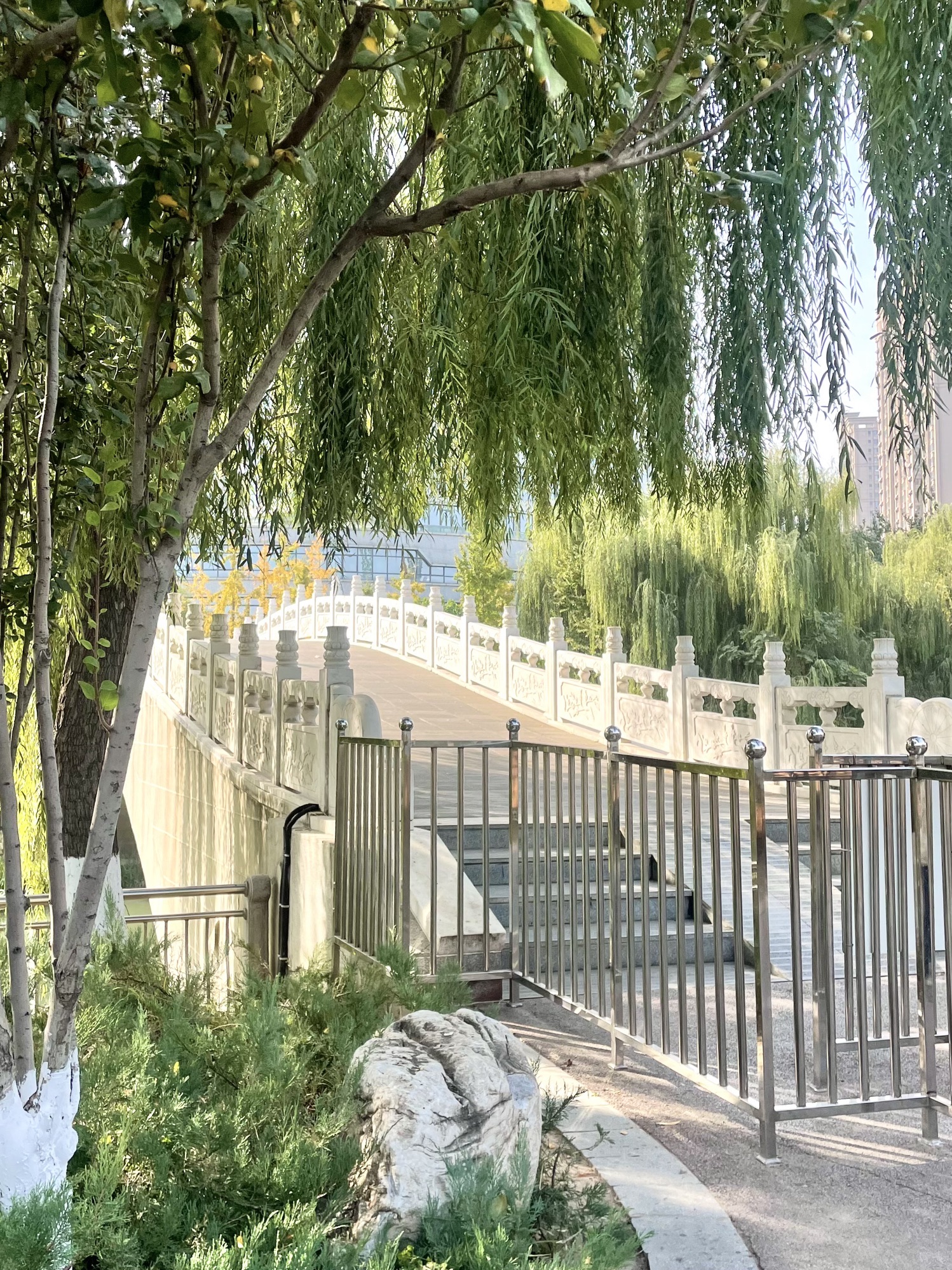 保定东湖公园旅行图片 3