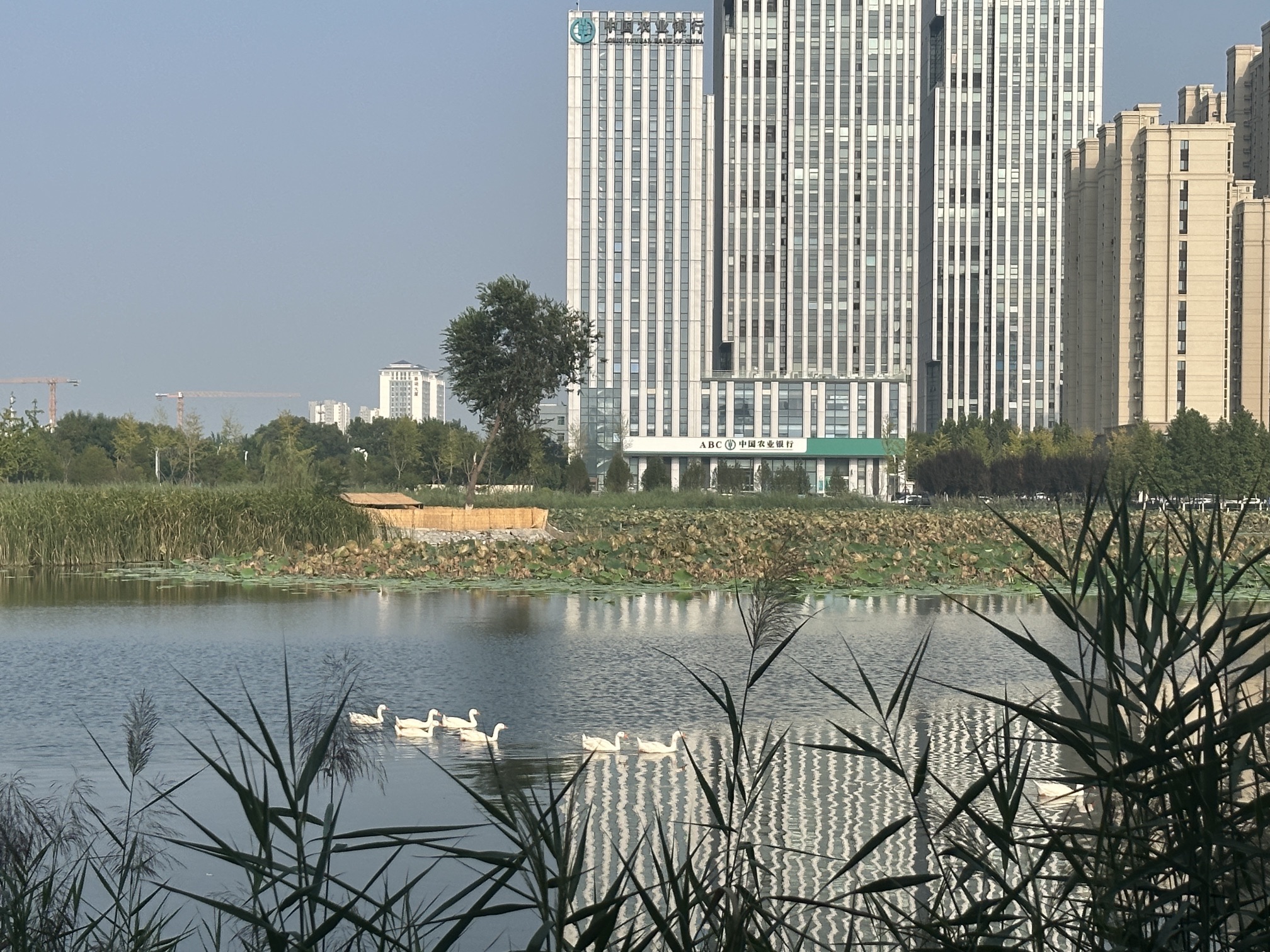 保定东湖公园旅行图片 2