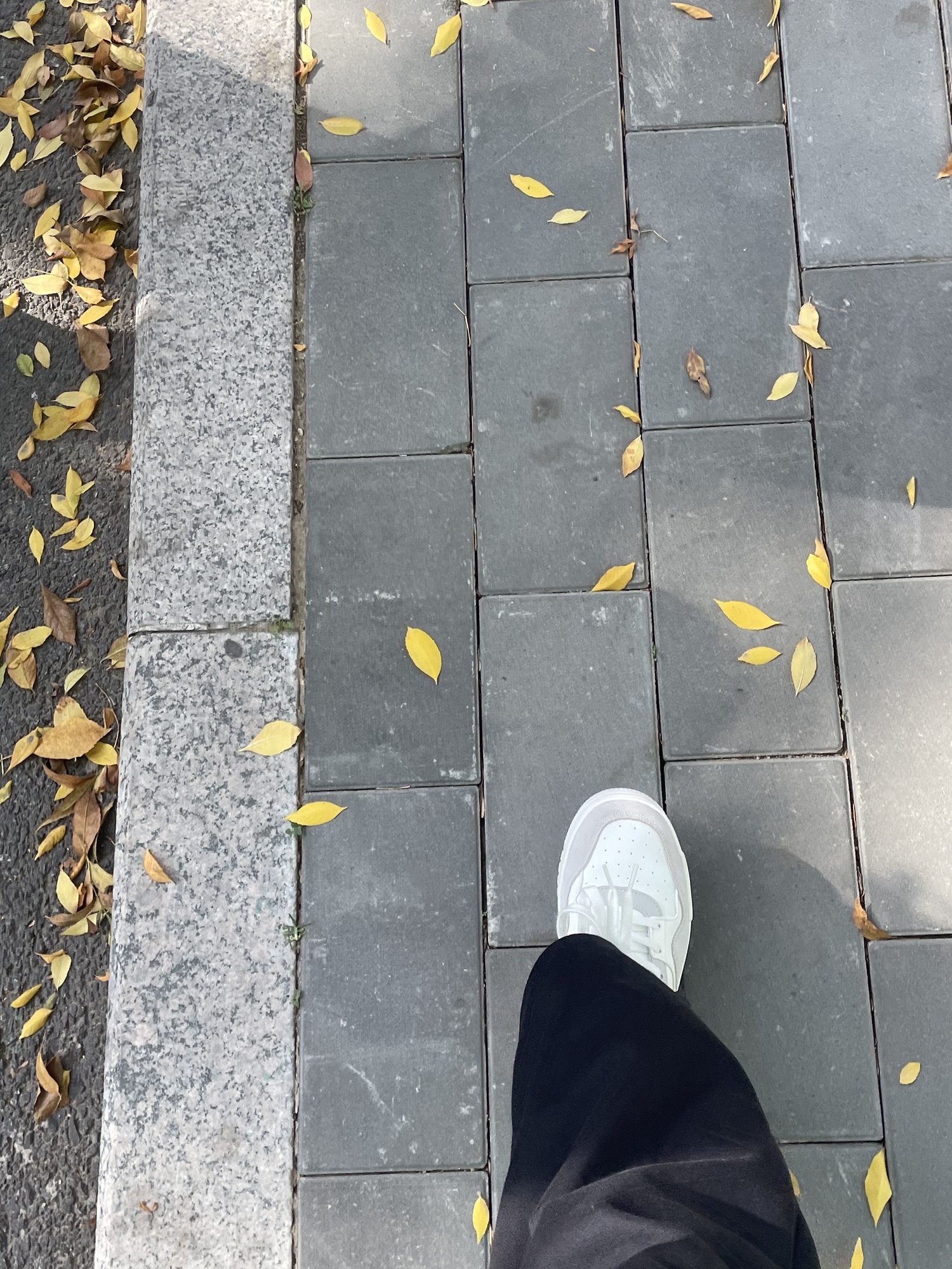 保定东湖公园旅行图片 1