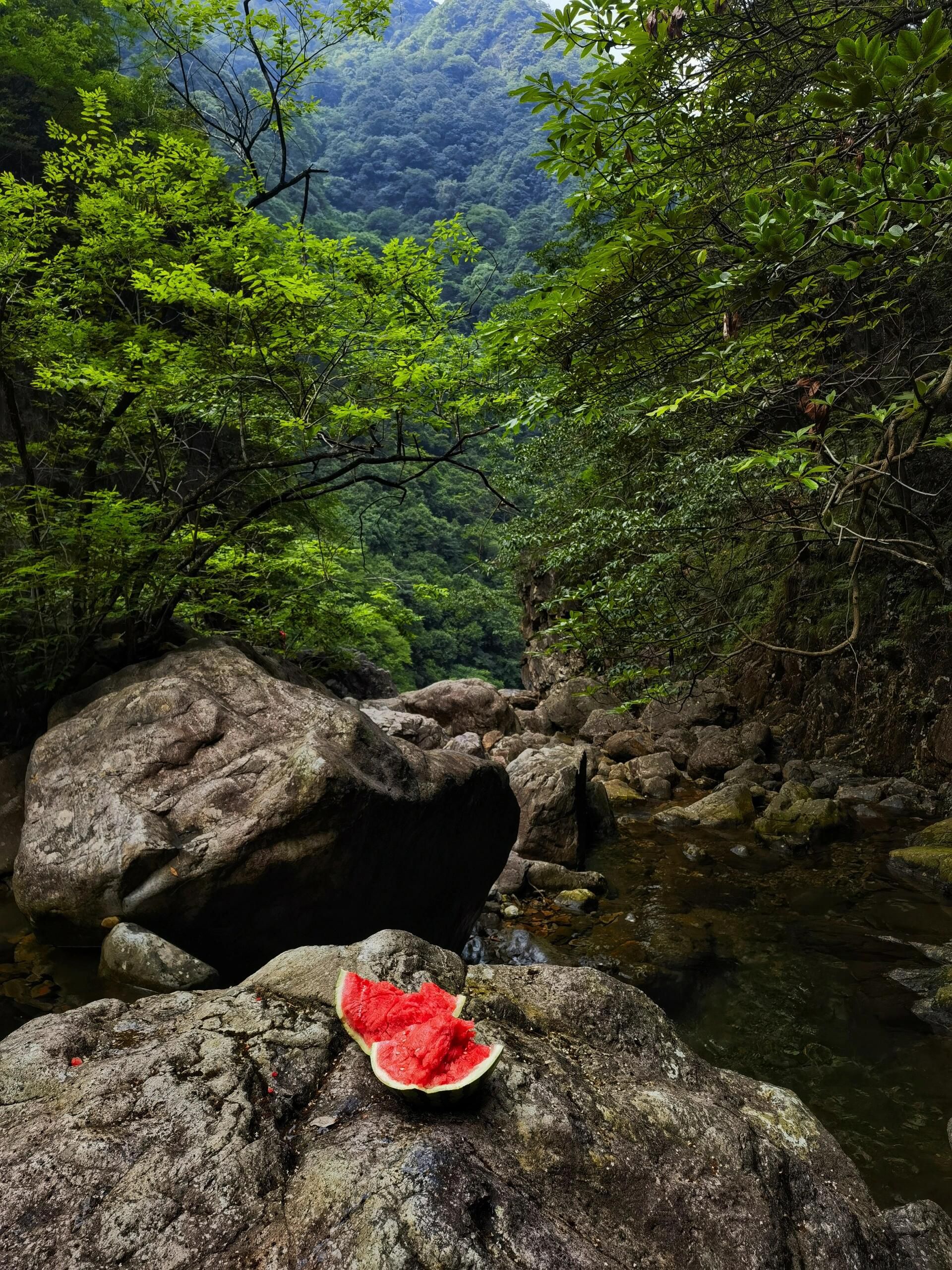信阳黑龙潭瀑布旅行图片 3