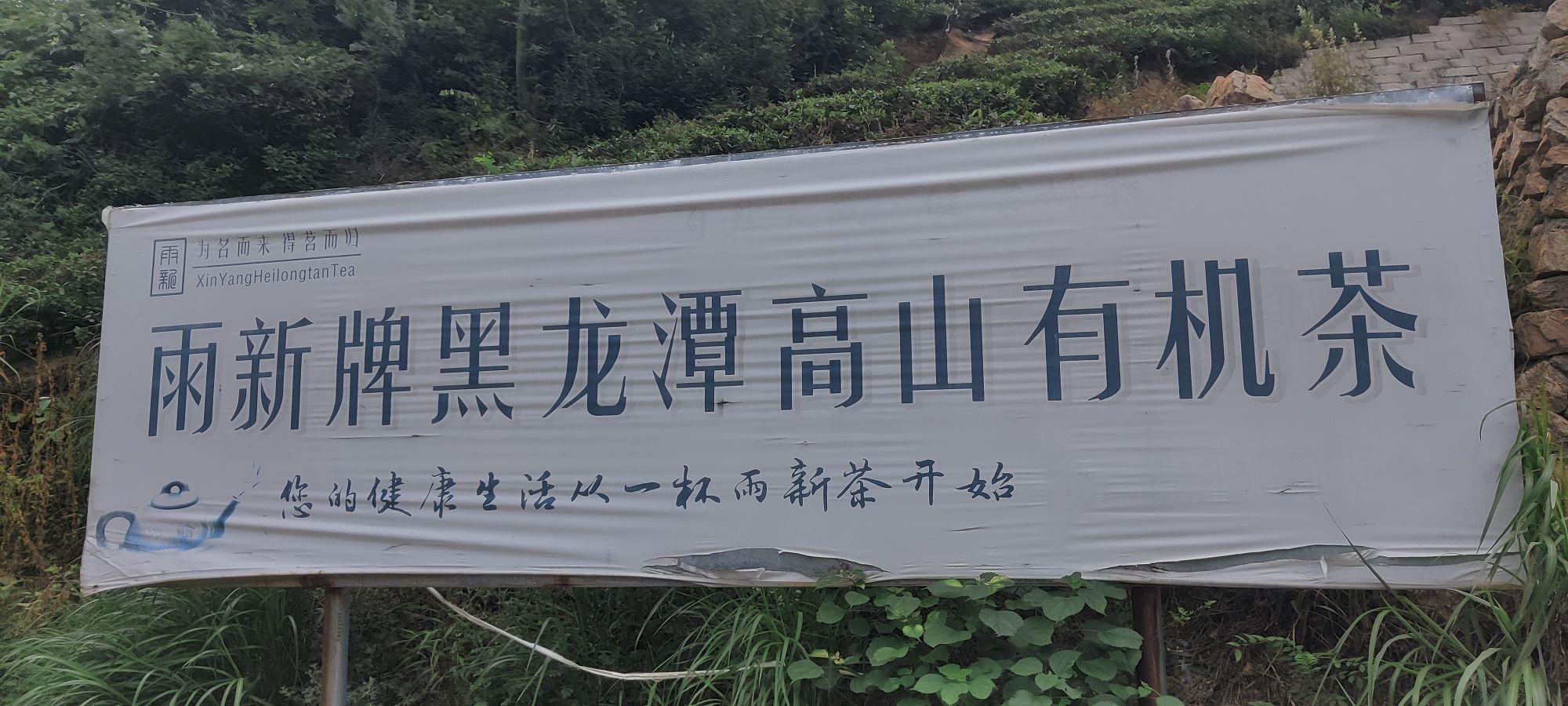 信阳黑龙潭瀑布旅行图片 2