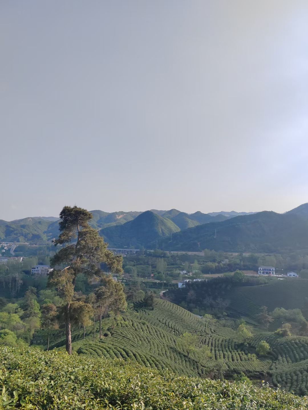 信阳黑龙潭瀑布旅行图片 3