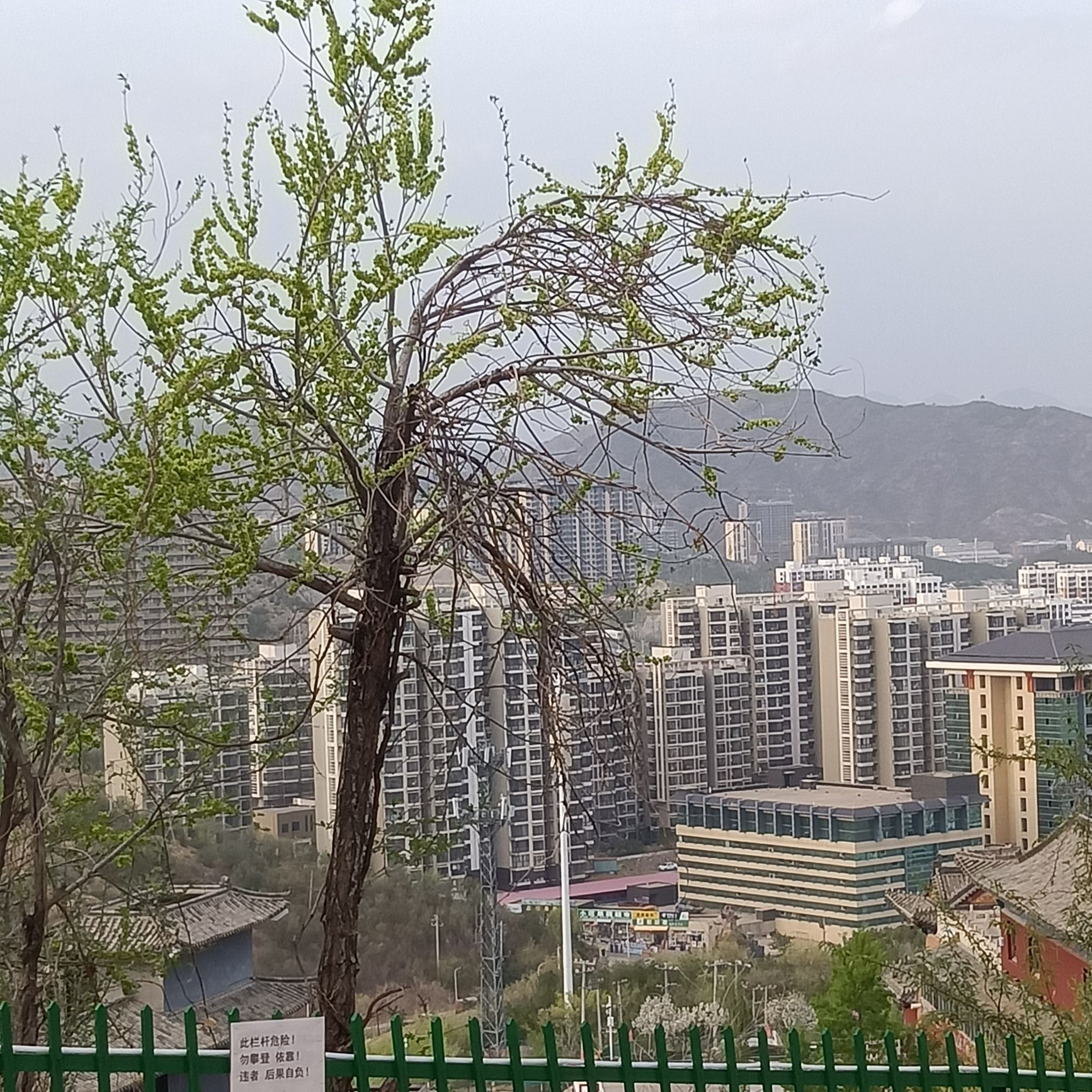赐儿山旅行图片 3