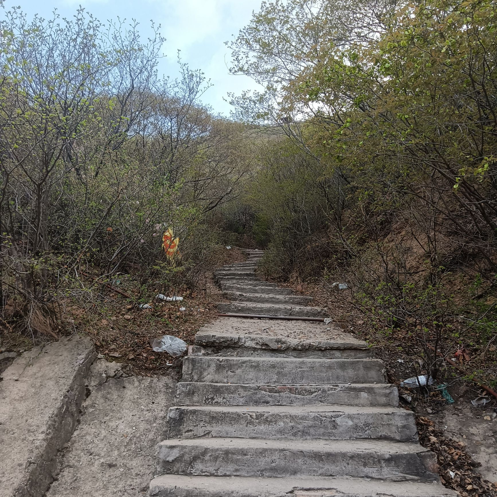 赐儿山旅行图片 2