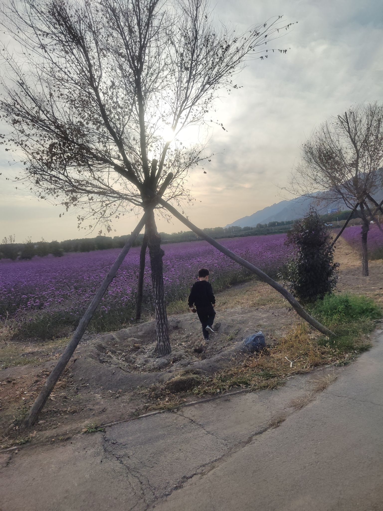 七彩大地旅游景区旅行图片 3