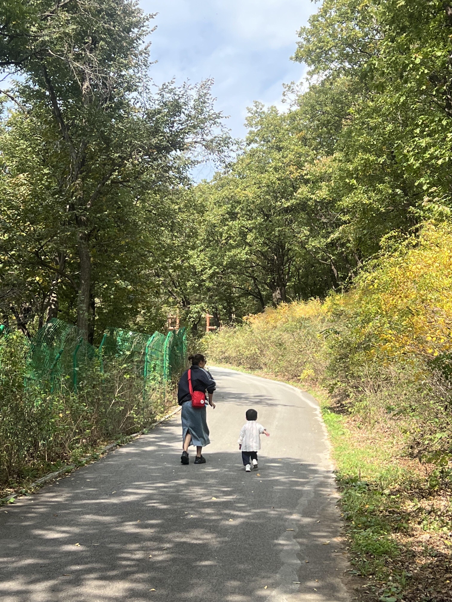 莲秀峰森林公园旅行图片 1