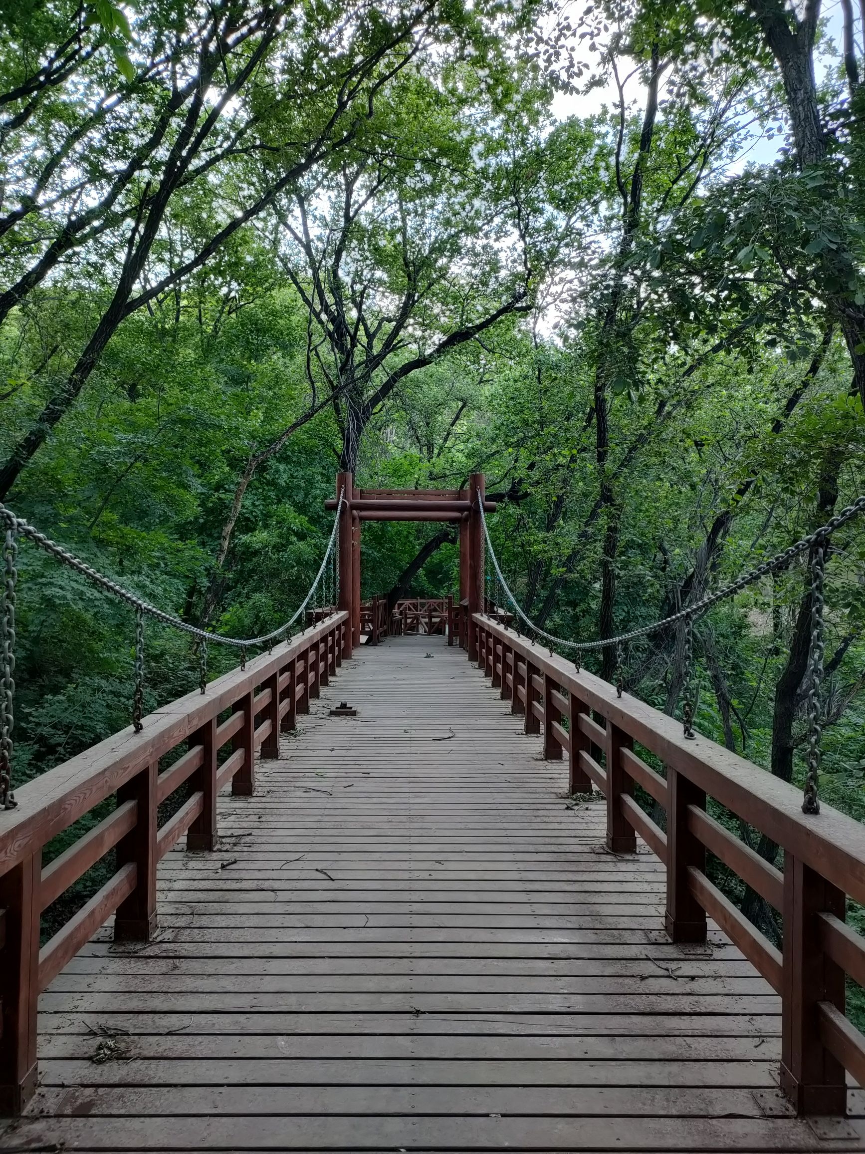 莲秀峰森林公园旅行图片 2
