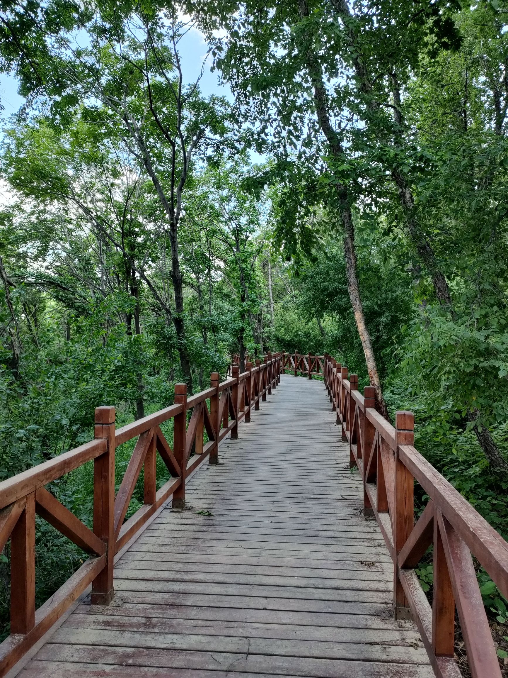 莲秀峰森林公园旅行图片 3