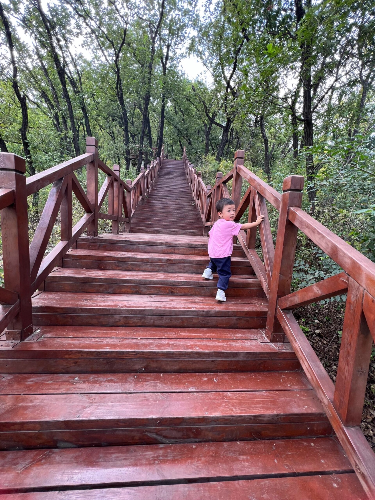 莲秀峰森林公园旅行图片 3