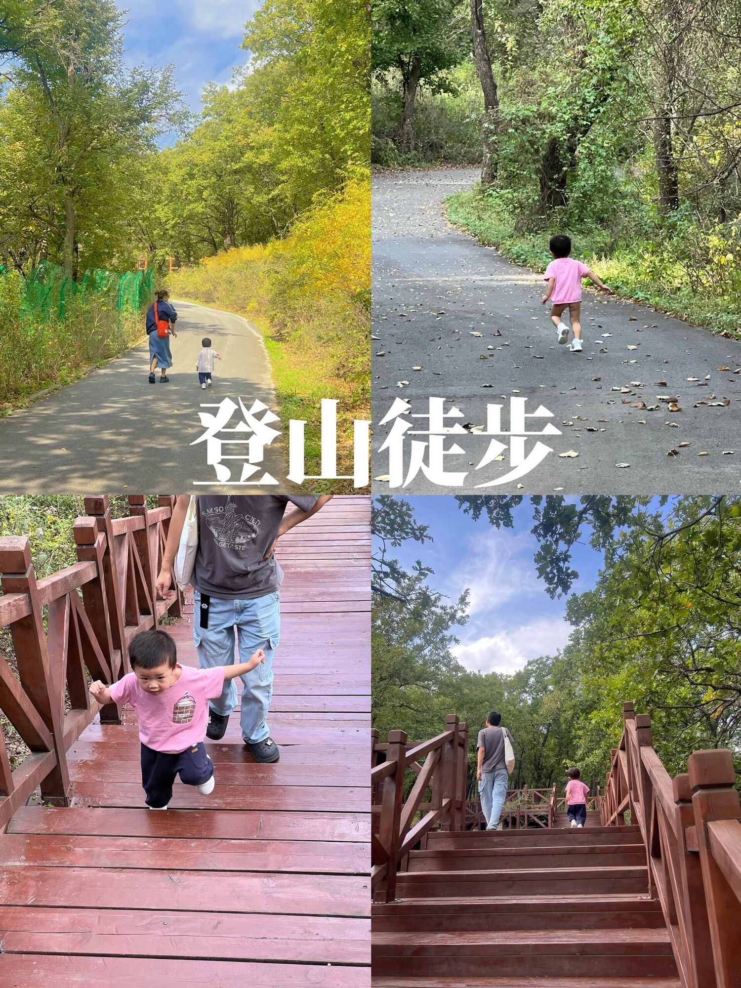 莲秀峰森林公园旅行图片 2
