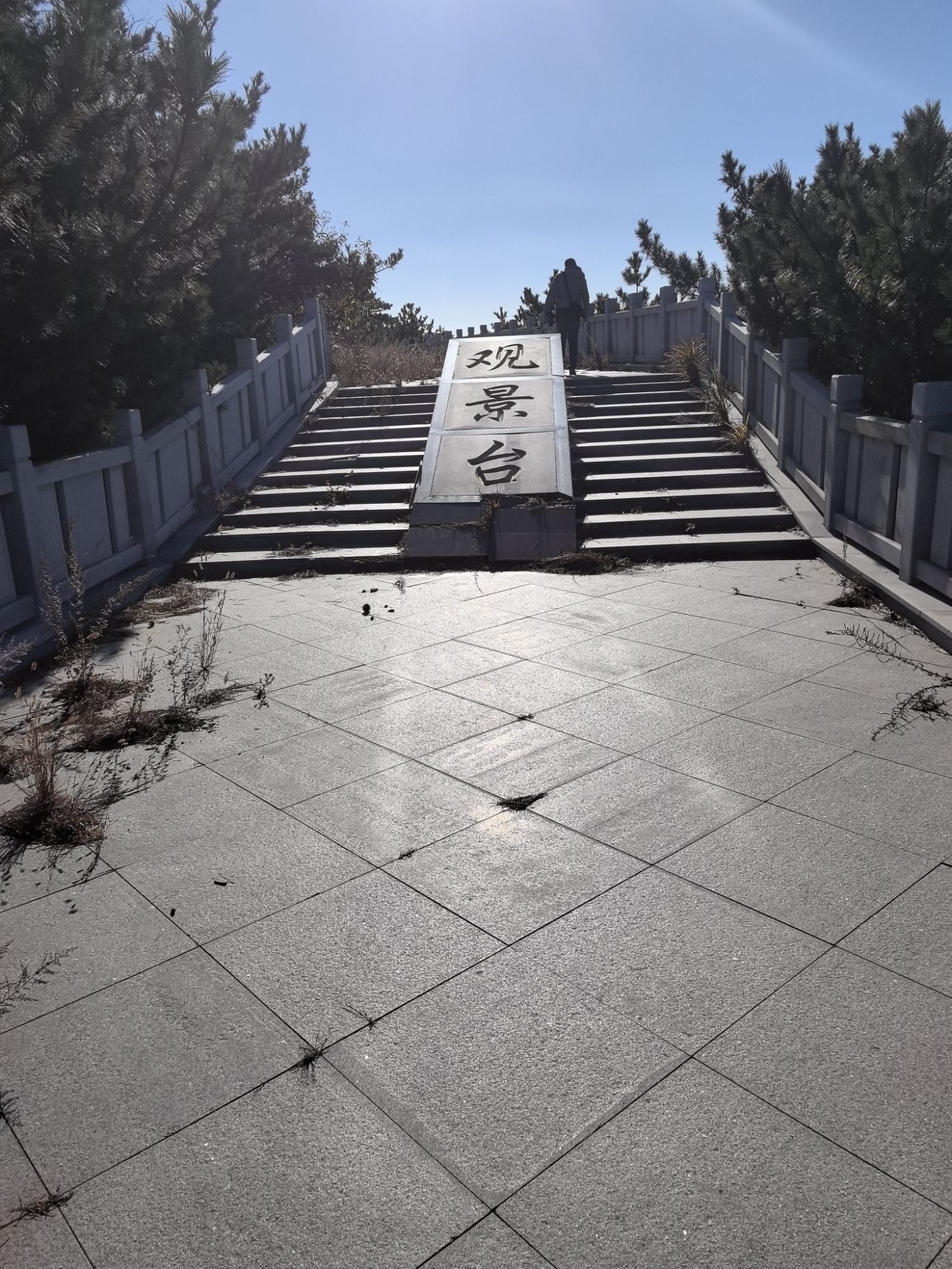 观景台旅行图片 1