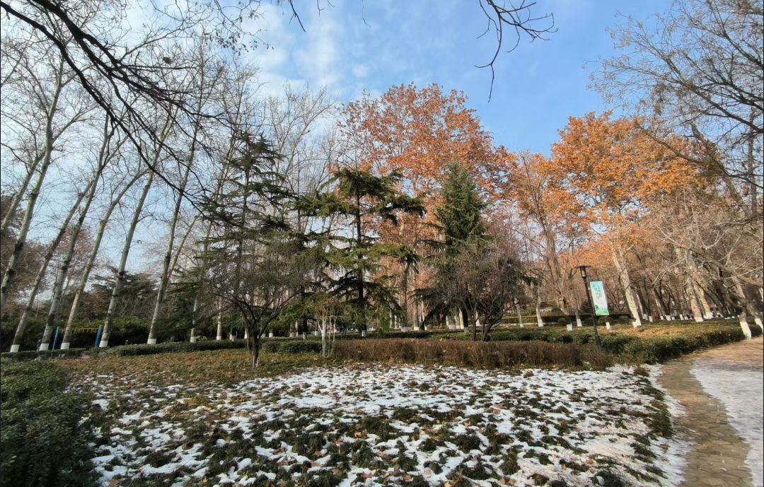 周村人民广场旅行图片 1