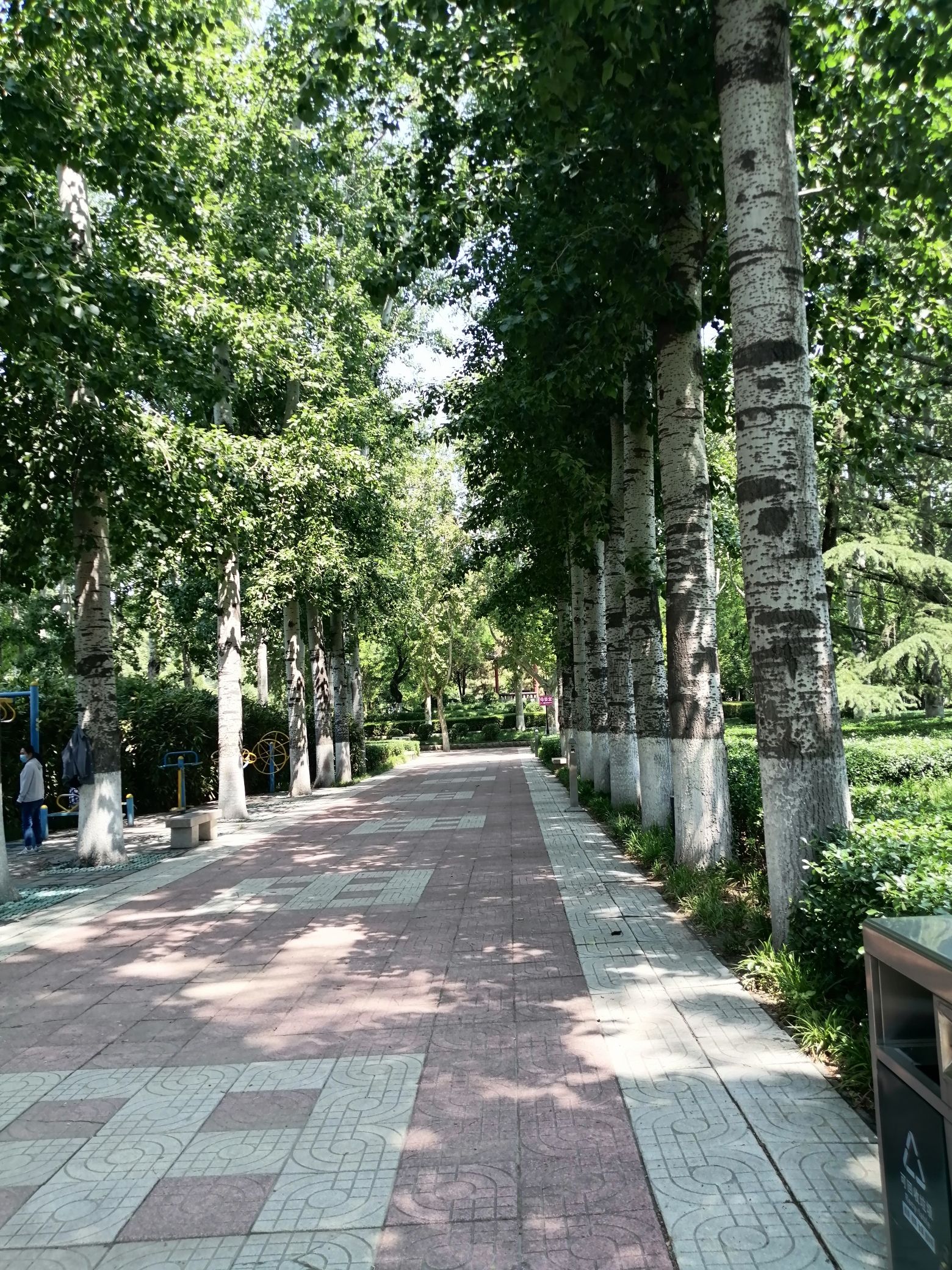 周村人民广场旅行图片 2