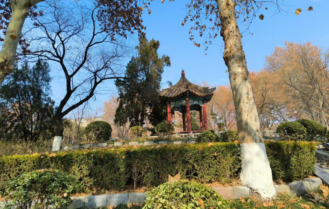 周村人民广场旅行图片 2