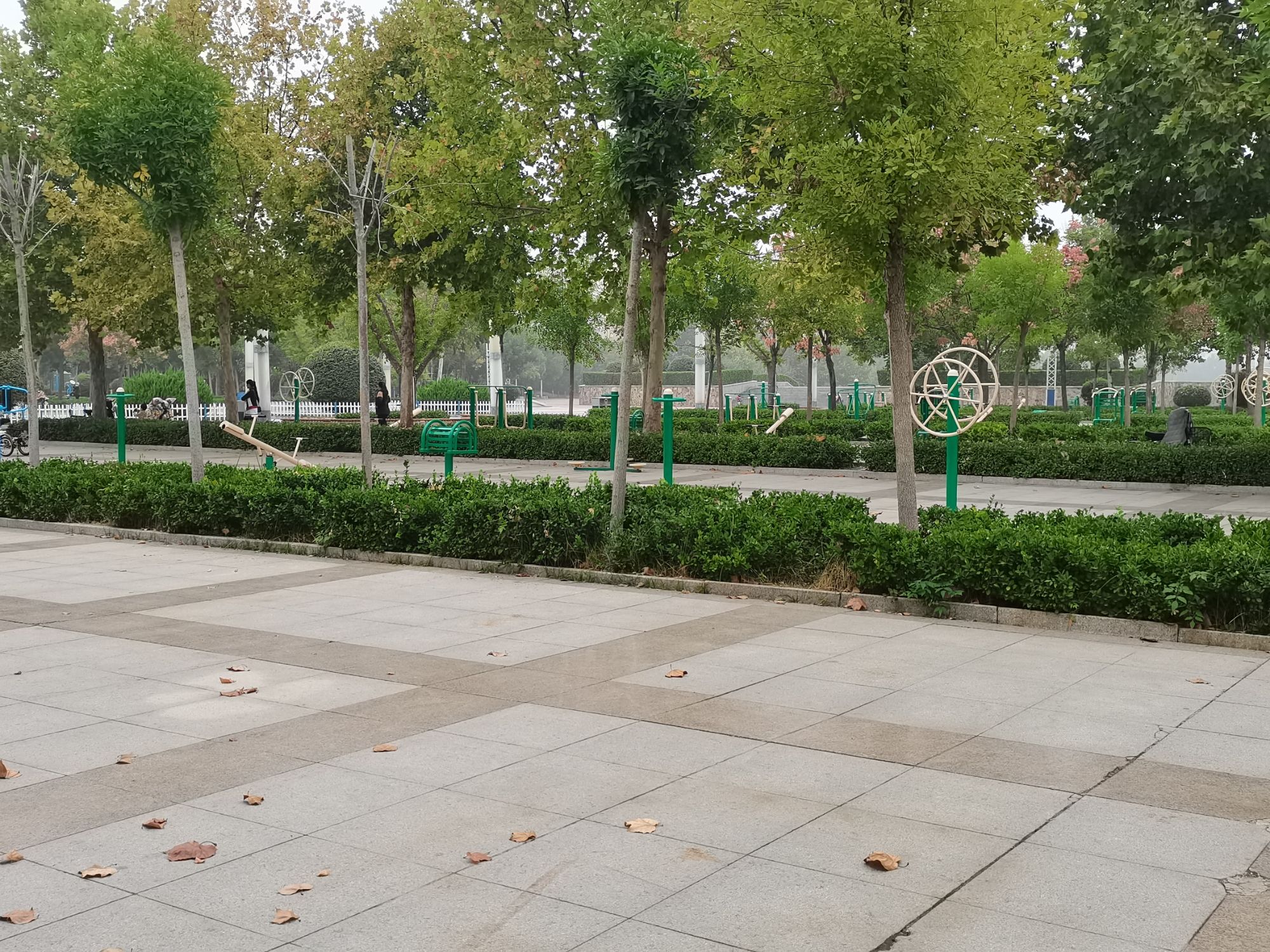 新时代公园旅行图片 2