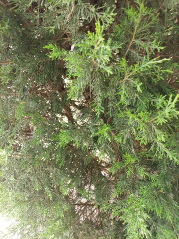 未名湖生态湿地公园旅行图片 2